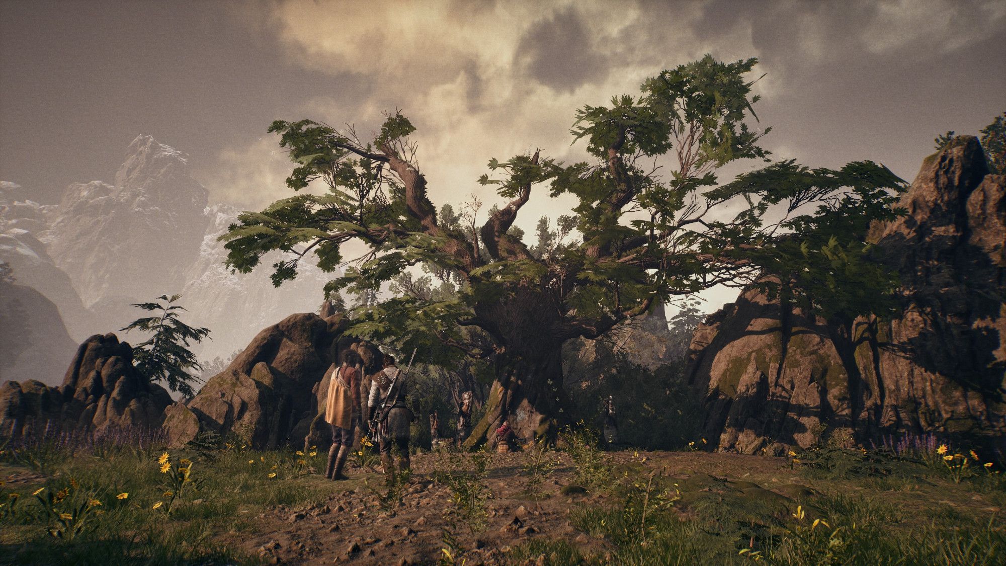 Antéa et Red regarde un arbre noueux au centre d'une clairière. A l'arrière plan, des montagnes enneigées et un ciel entre gris et lumière.