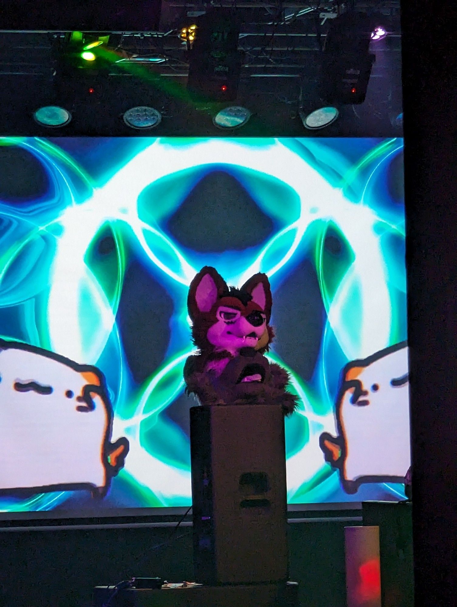 A close up of the output from Resolume on the projector, the output is a music visualizer with a crumb cat dancing overlaid on it and mirrored to both sides of the screen. In front of the projector is Ezo's fursuit head on top of some speakers directly in the middle between the dancing cat.