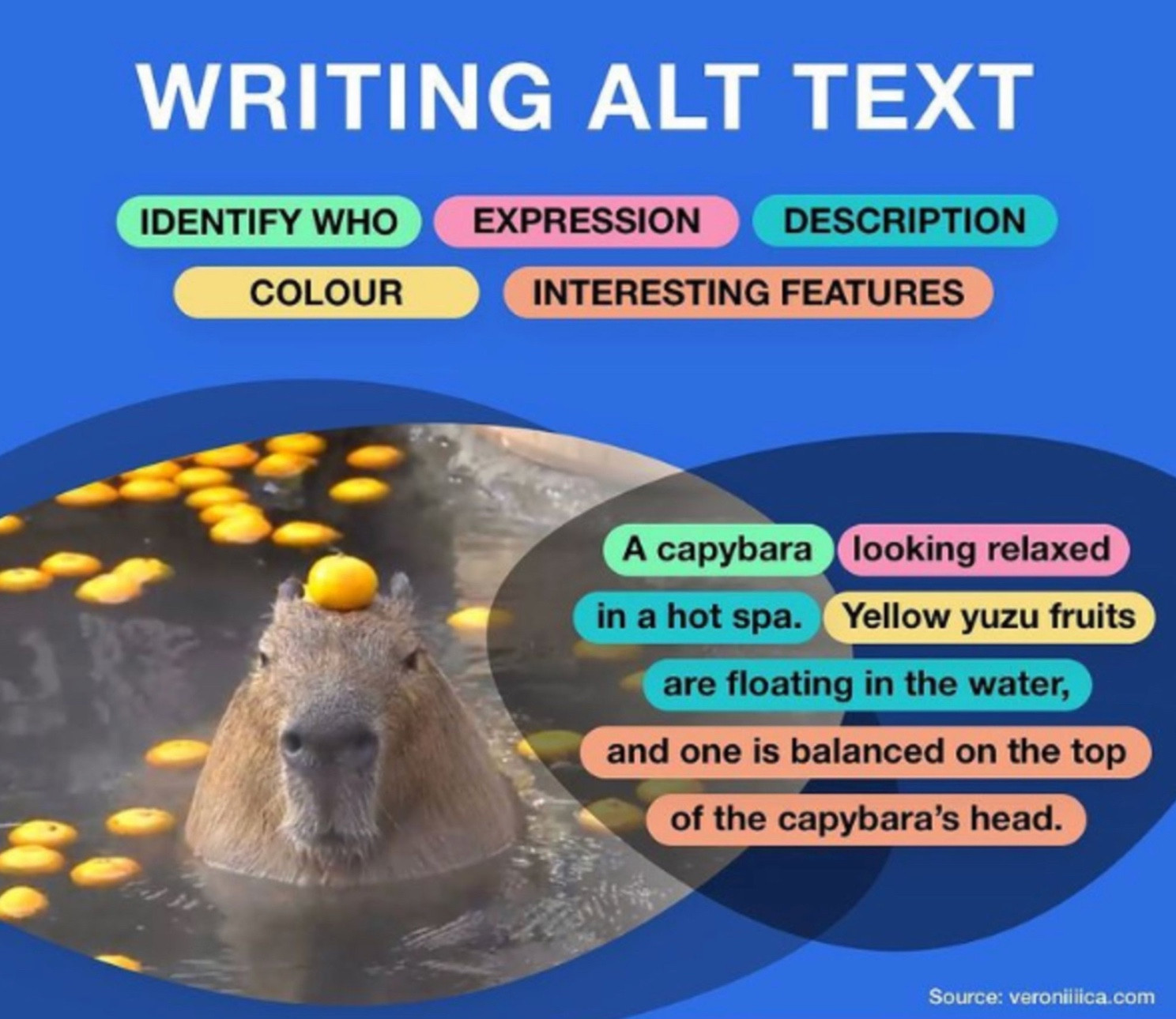 An infographic titled “How To Write Alt Text” featuring a photo of a capybara. Parts of alt text are divided by color, including identify who, expression, description, colour, and interesting features. The finished description reads “A capybara looking relaxed in a hot spa. Yellow yuzu fruits are floating in the water, and one is balanced on the top of the capybara’s head.”