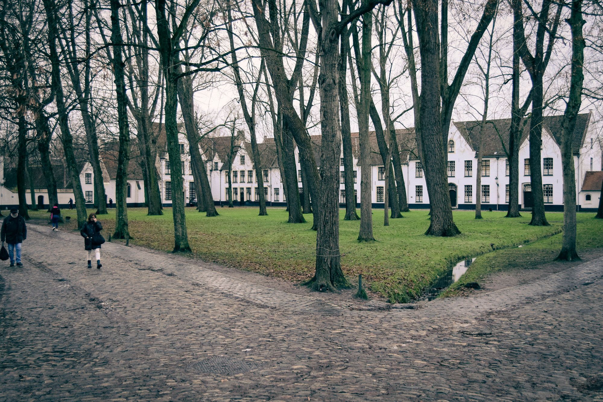 An open space with grasland and multiple trees bordered by cobbled street in front and white house at the back.  A few people are walking around.