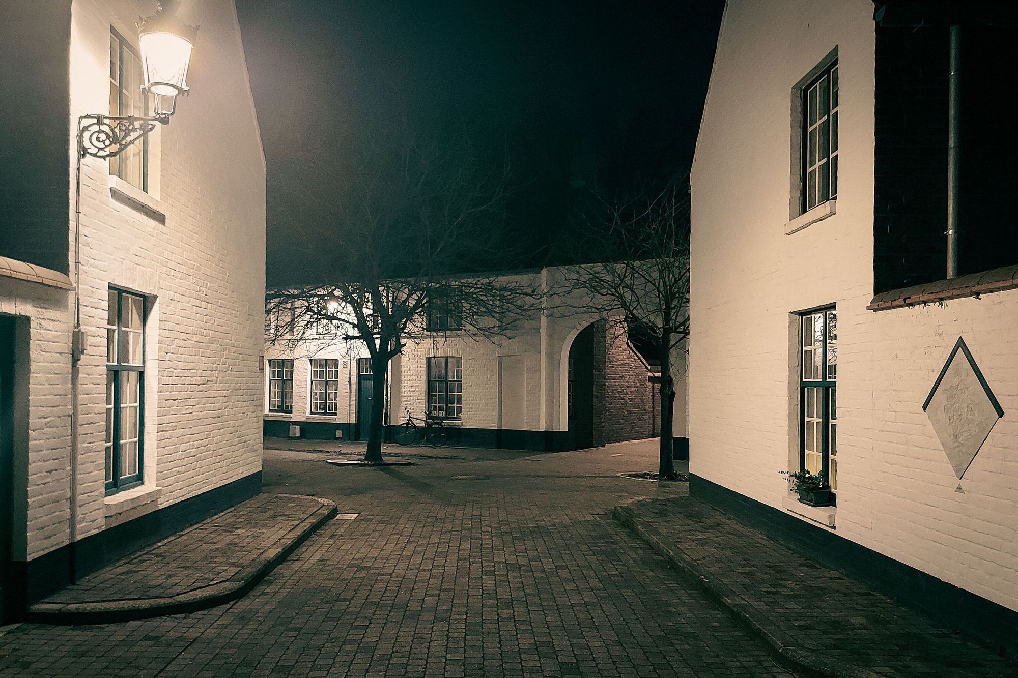 Nightshot of a quiet back street, a streetlanters, buildings and the silhouettte of a tree.