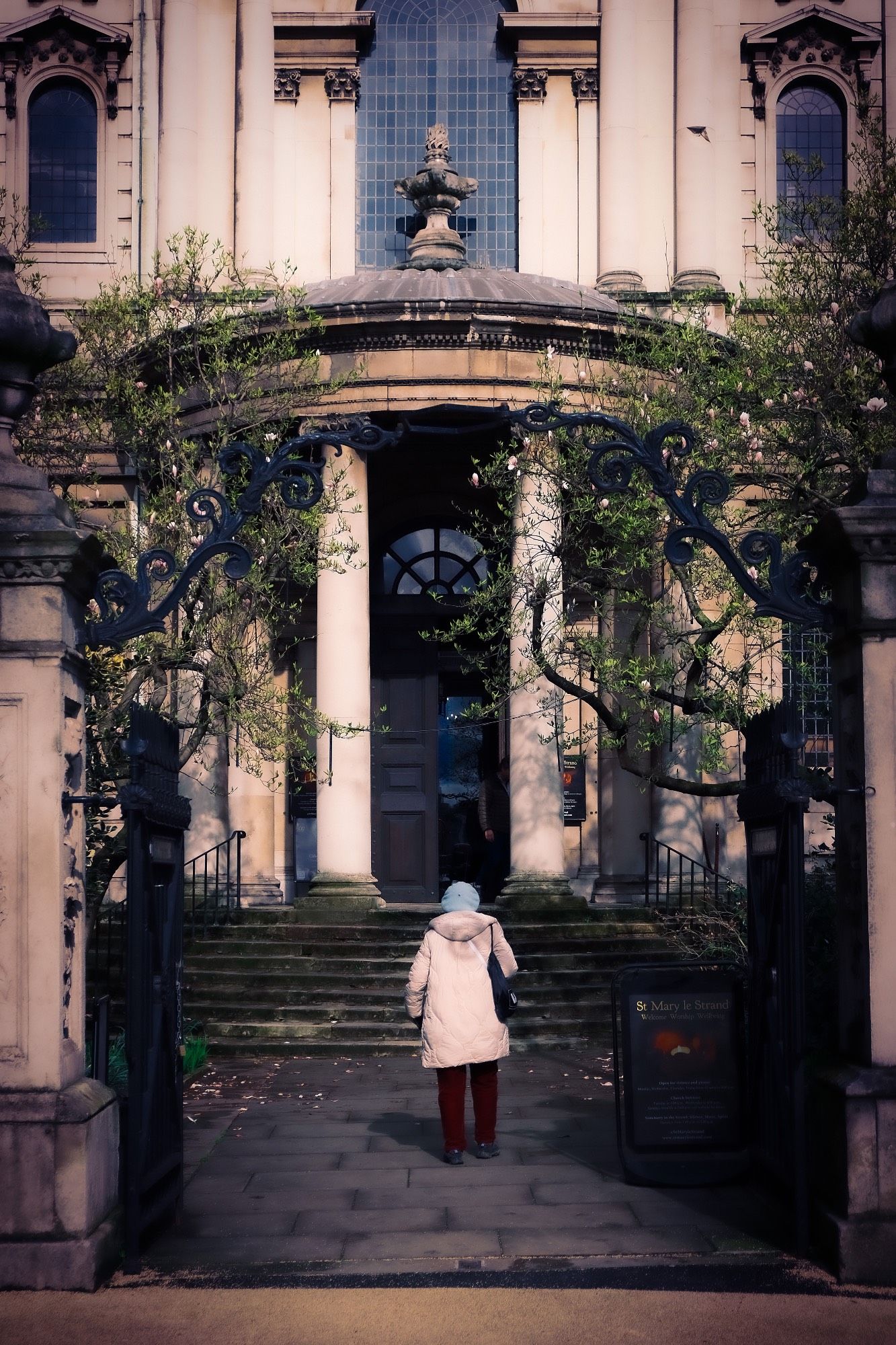 A colour photo of an older woman, seen from behind, approaching the steps to the ornate pillared portico at the front entrance of the church. The black wrought iron gates are open and flanked just inside by small twin magnolia trees with the blossom buds of late March.