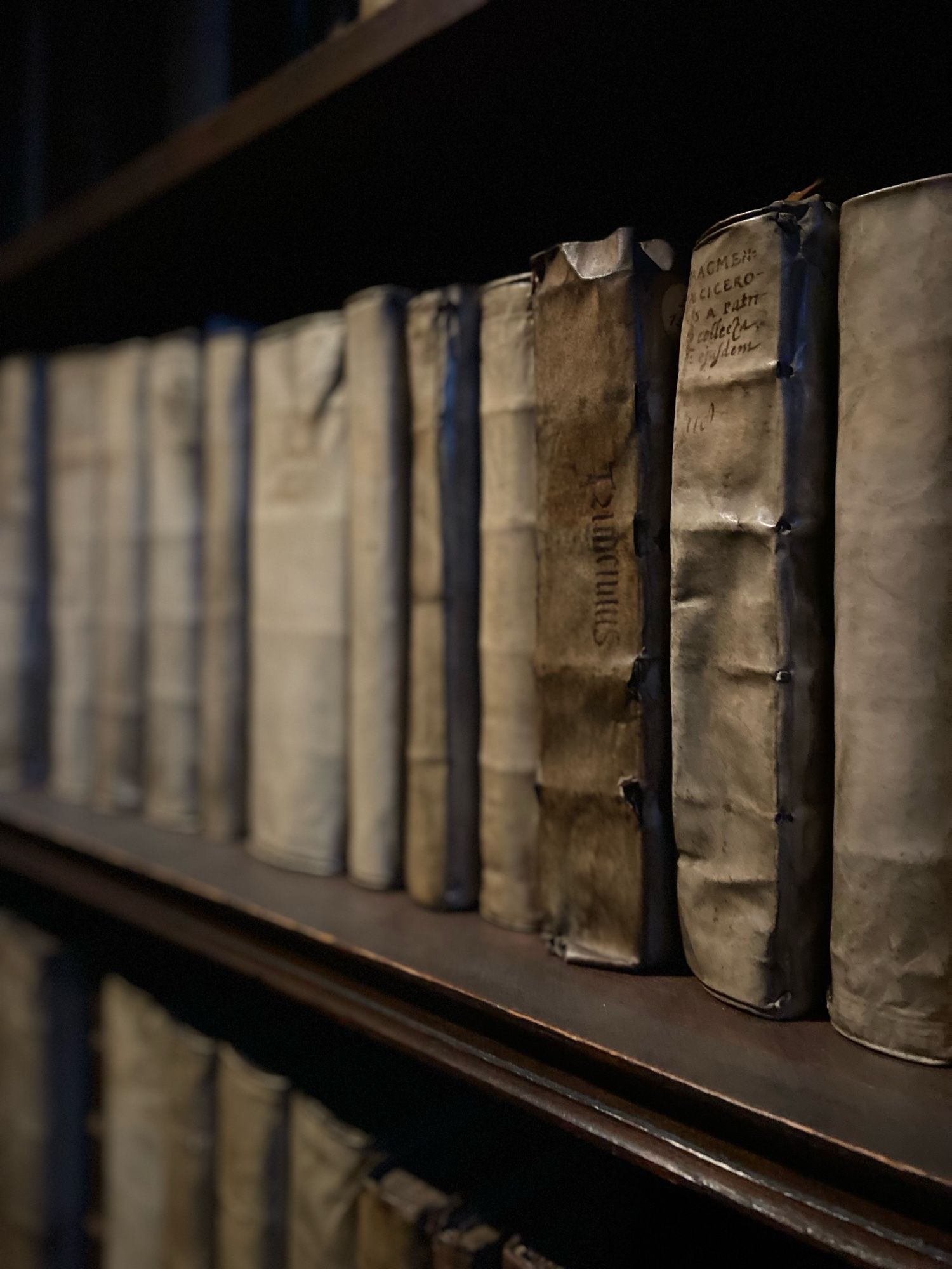 A shelf with a line of early modern books in parchment covers in a dimmed light