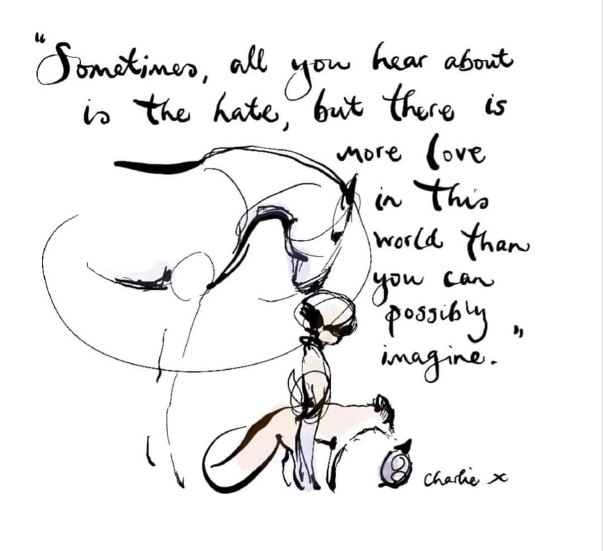 Line drawing of a horse, a boy, a fox and a mole by Charlie Mackesy. Text reads:
Sometimes, all you hear about is the hate, but there is More love in this world than you can possibly imagine. Charlie x