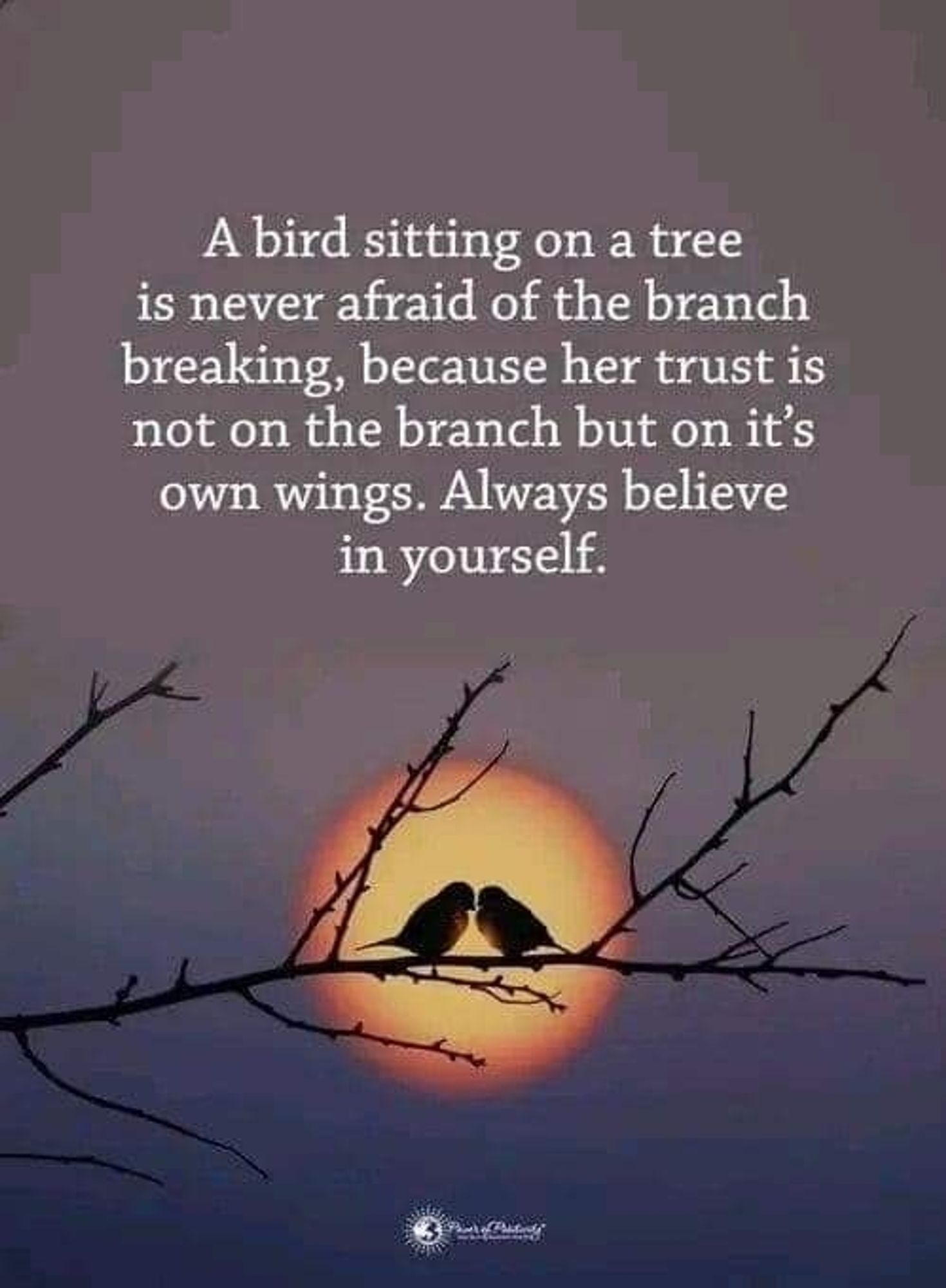 Photo of 2 birds sitting on a bare branch with a sunset behind them. Text reads:
A bird sitting on a tree is never afraid of the branch breaking, because her trust is not on the branch but on it's own wings. Always believe in yourself.