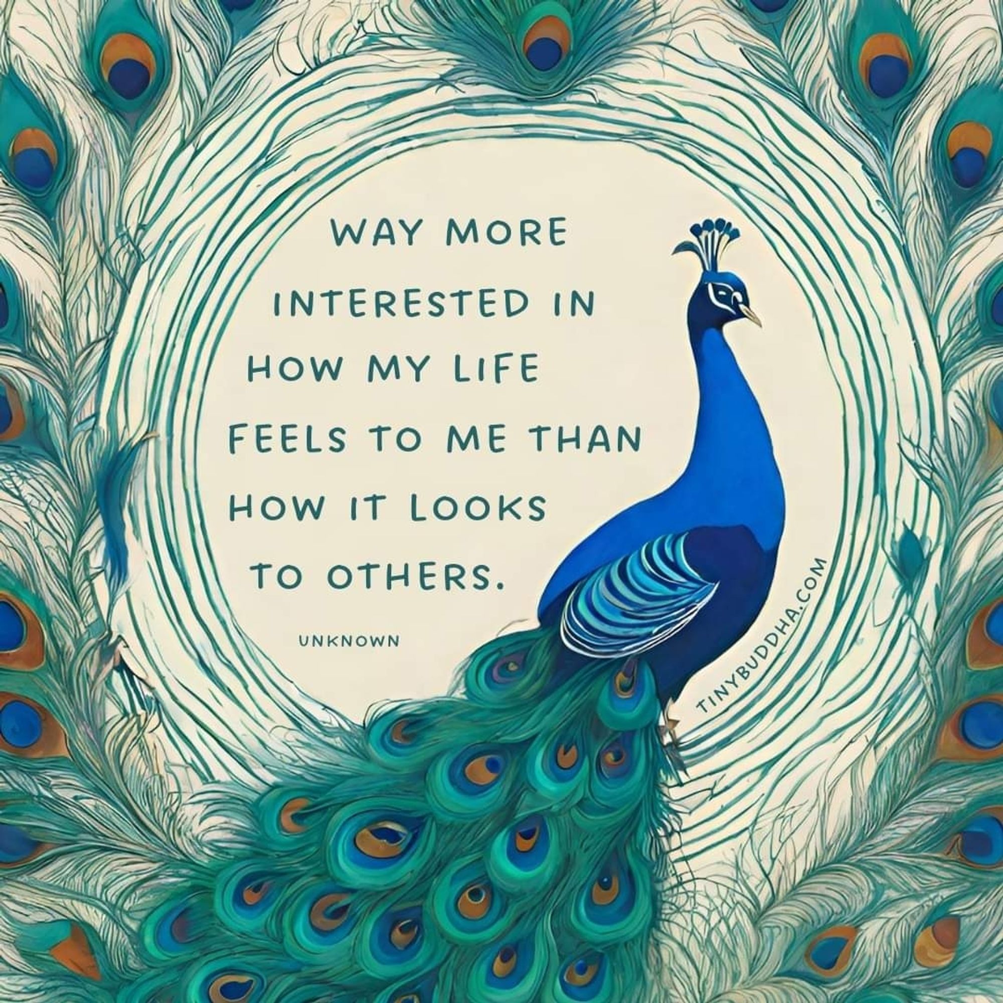 Drawing of a peacock with a dramatic border of peacock feathers. Text reads:
WAY MORE INTERESTED IN HOW MY LIFE FEELS TO ME THAN HOW IT LOOKS TO OTHERS.

UNKNOWN