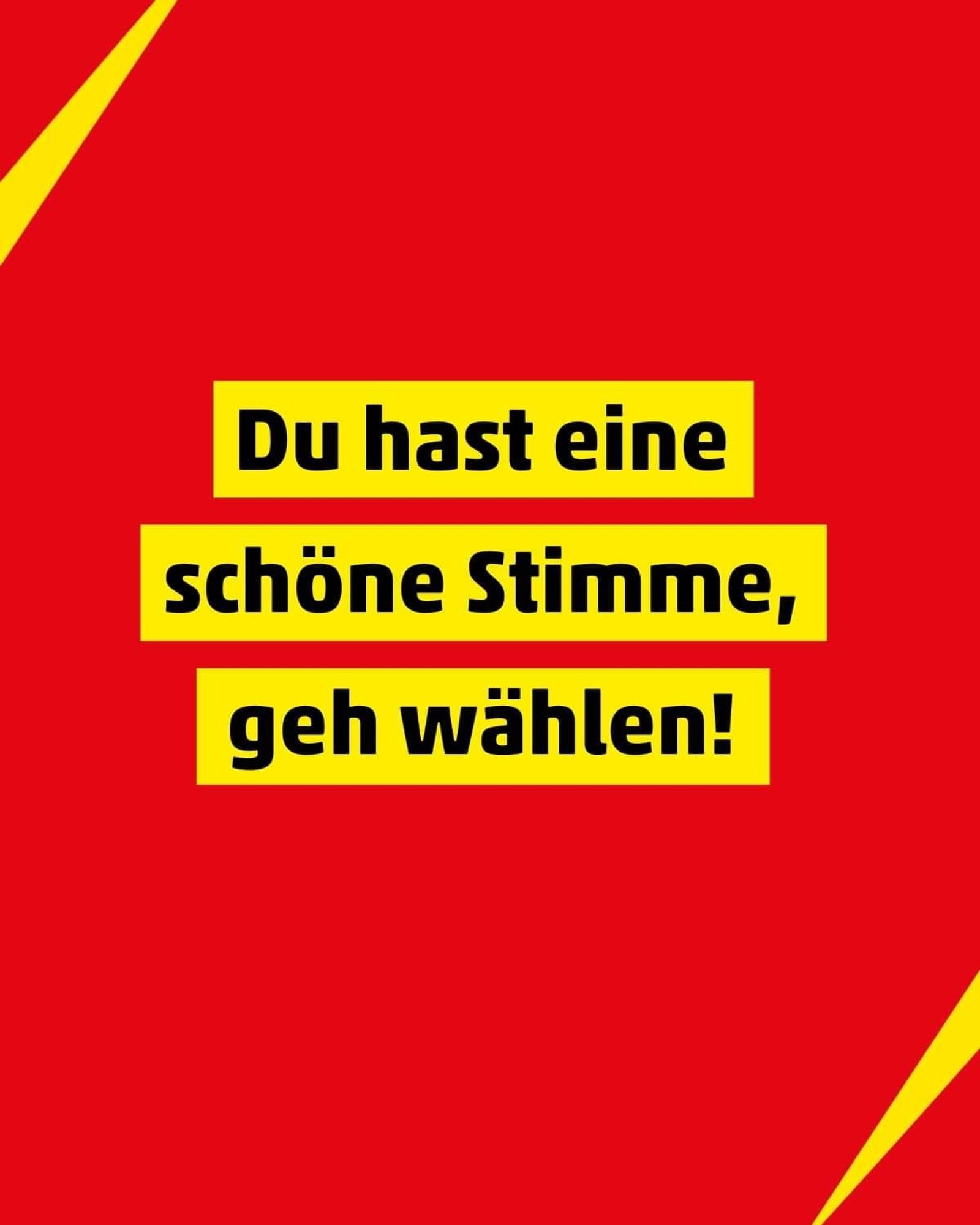 Du hast eine schöne Stimme, geh wählen!