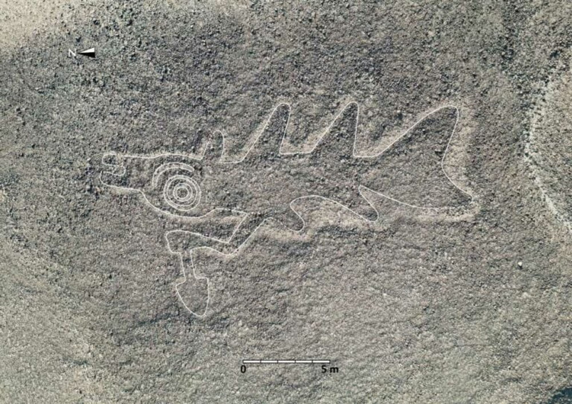 A newly discovered geoglyph in Peru’s Nazca Desert.