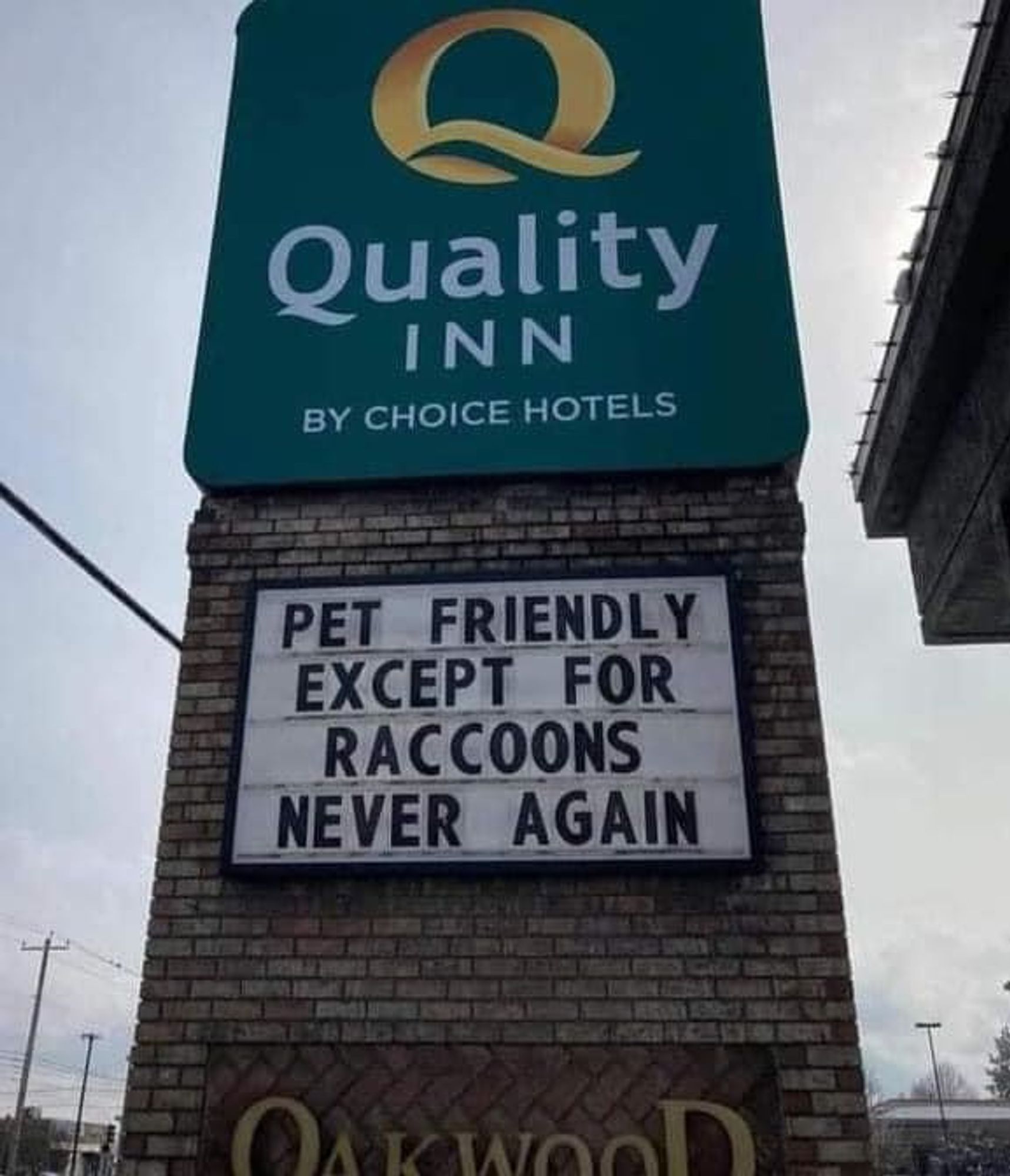 A Quality Inn sign:

PET FRIENDLY
EXCEPT FOR
RACCOONS
NEVER AGAIN