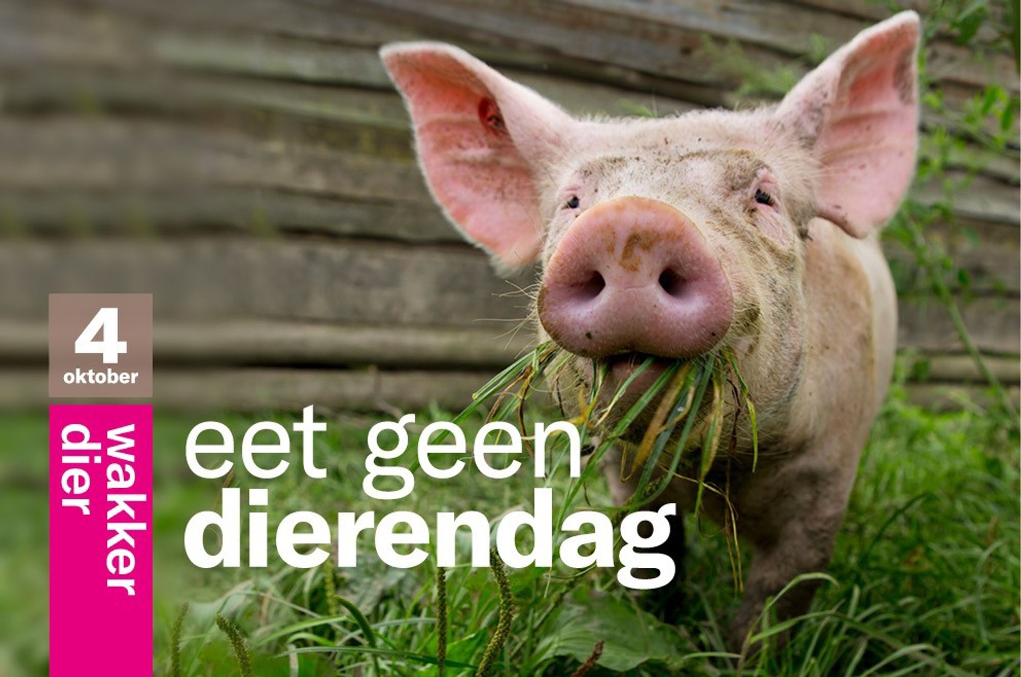 #eetgeendierendag