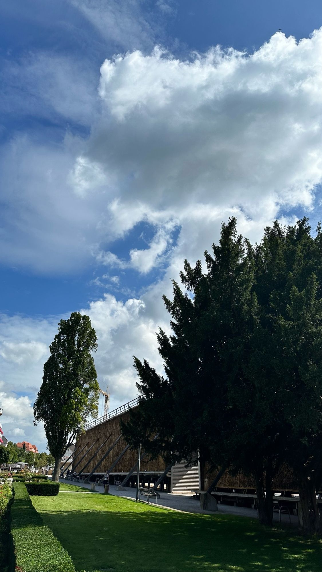 Graduation works, trees and clouds in front of blue sky