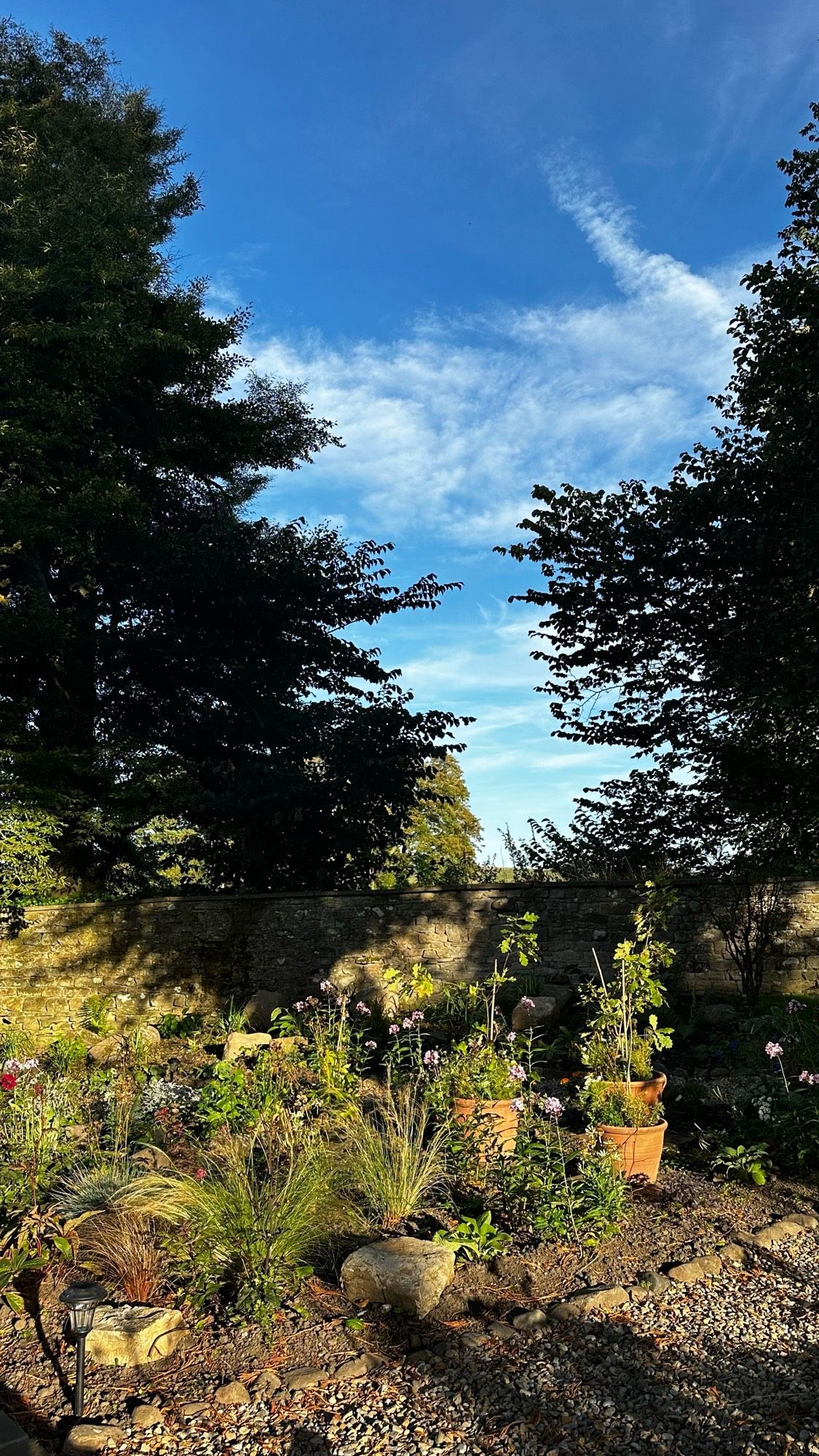 Walled garden in afternoon sunshine and sky