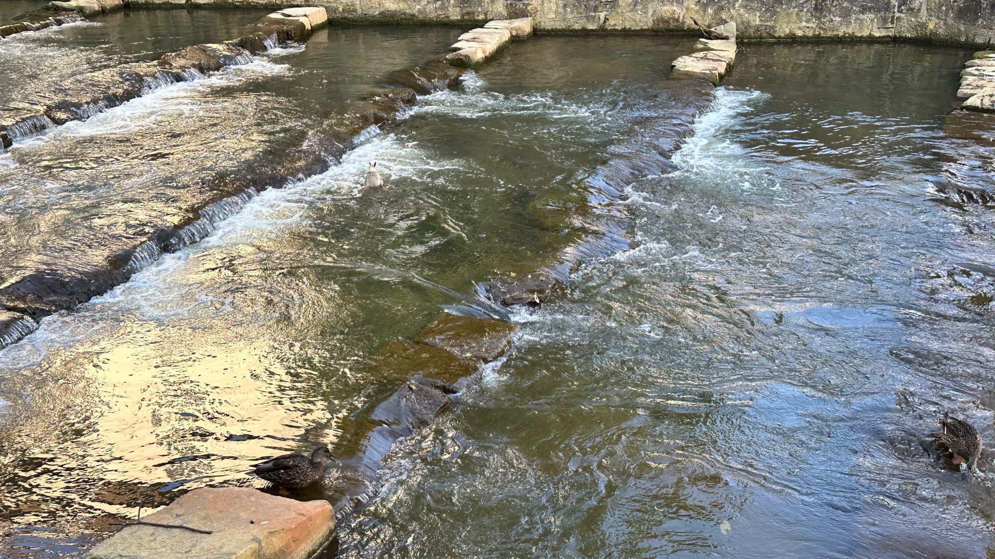 Cascading small river