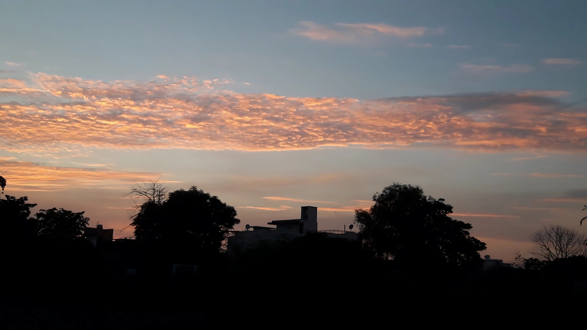 An old picture I took on a trip shows the sun setting,, with the sky painted in sunset color—gold… The trees in the foreground appear as dark silhouettes against the glowing evening light….