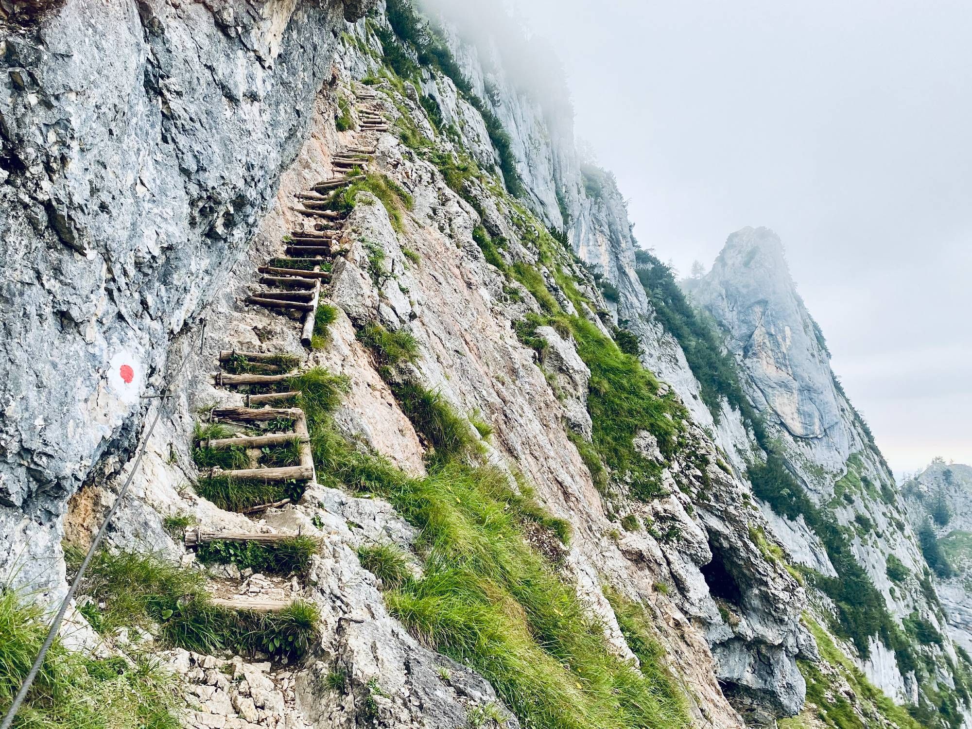 Das Bild zeigt den Dopplersteig zum Untersberg, einen steilen, felsigen Pfad entlang einer Bergwand, der aus rauen Holzstufen besteht. Der Pfad schlängelt sich schwindelerregend an der Felswand entlang. Ein Seil links dient als Handlauf zur Sicherheit. Ein weißer Punkt mit einem roten Zentrum markiert den Weg auf dem Felsen. In der Ferne erhebt sich ein nebelverhangener Gipfel, der in den wolkenbedeckten Himmel ragt. Grüne Vegetation bedeckt Teile des felsigen Geländes und verstärkt den Eindruck einer alpinen Landschaft.