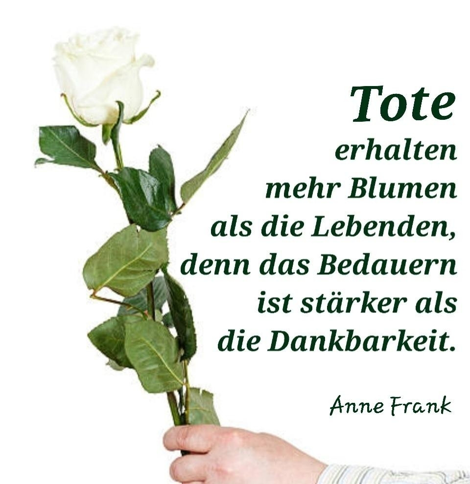 Auf dem Bild ist ein ausgestreckten Arm zu sehen,in der Hand eine weiße Rose !
Der Text dazu :

Tote erhalten mehr Blumen als Lebende das Bedauern ist stärker als die Dankbarkeit!

Anne Frank