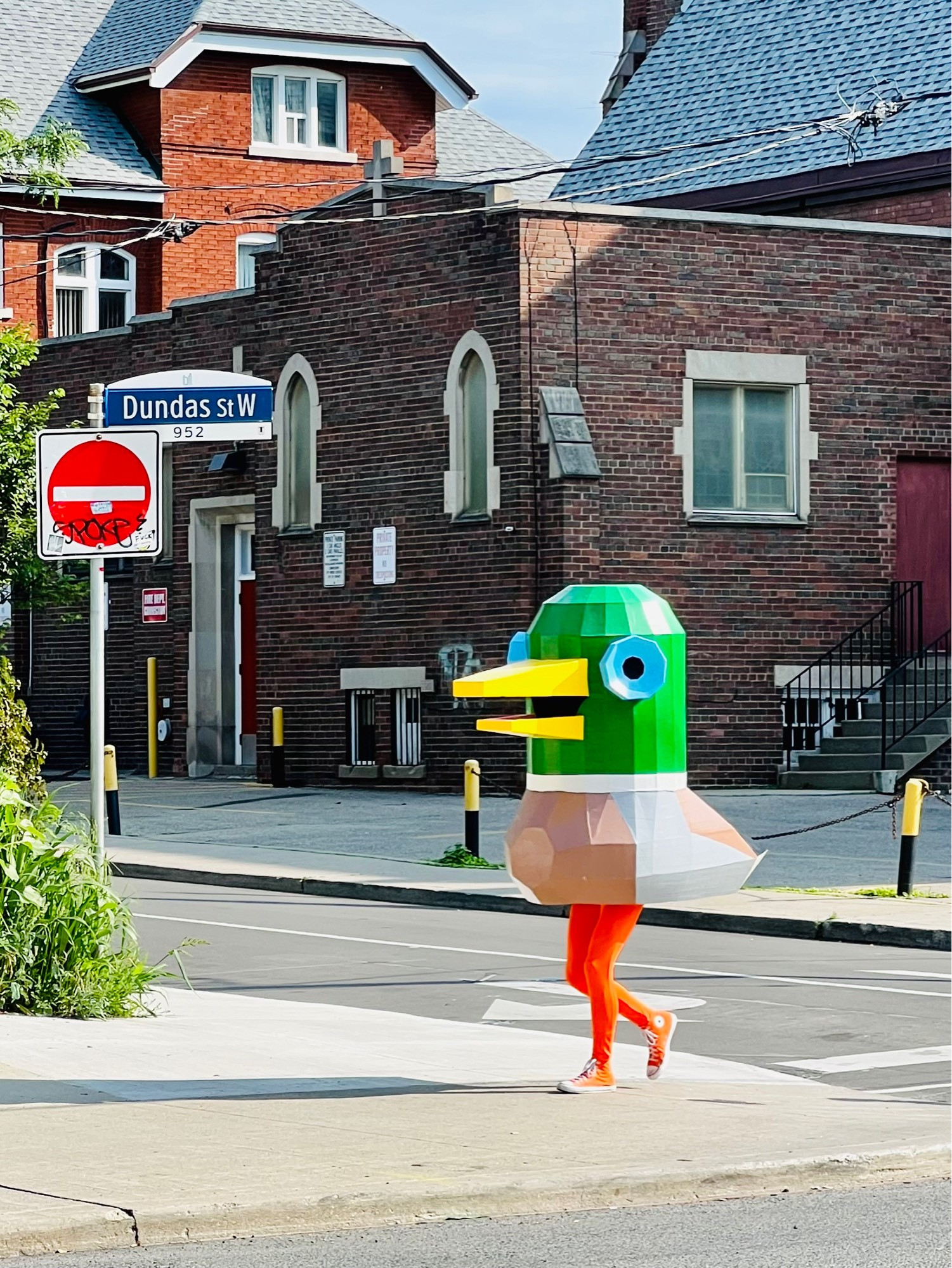 A person in a detailed and colourful cardboard mallard duck costume, crosses the street in front of a church in Toronto. The duck is wearing orange Chuck Taylor All-Stars.