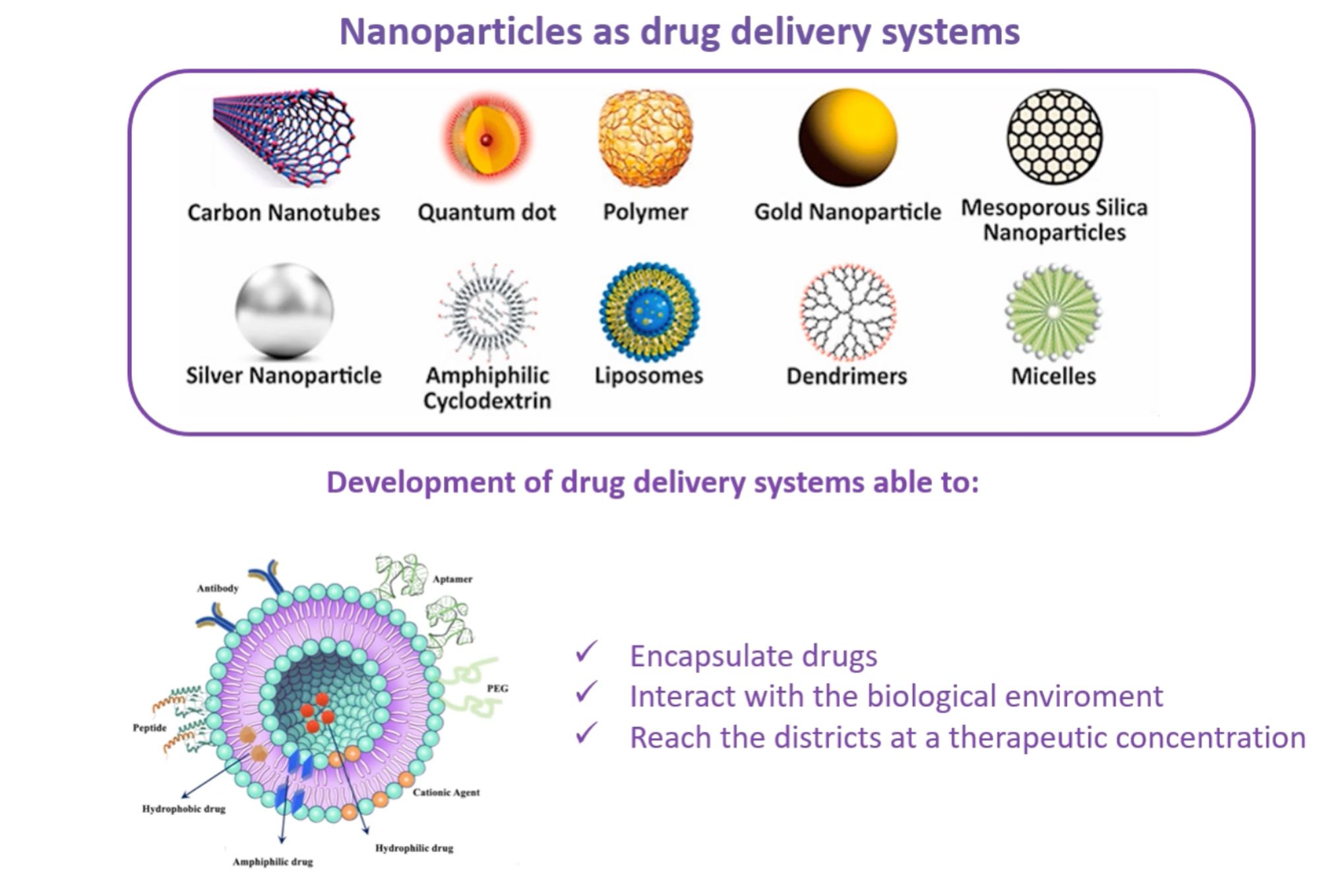 Nanoparticles as drug delivery systems encapsulate drugs, interact with the biological environment and reach their destinations in sufficient concentration to be therapeutical.