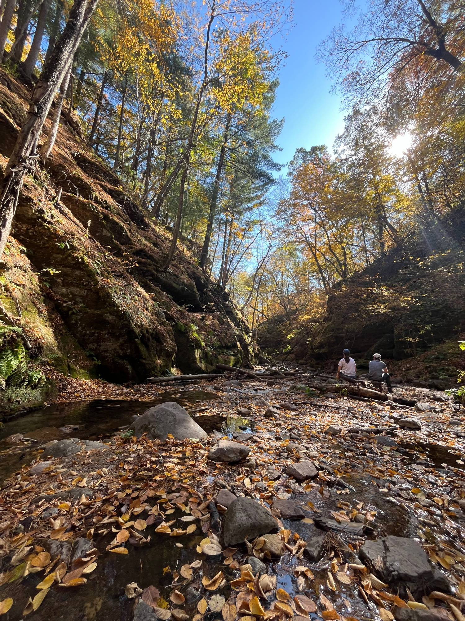 groundview of a glen, with lots of leaves scattered amongst the stream, and two folks perched on top of a rock in the middle of the stream. there are trees on either side of the glen with fall colors.