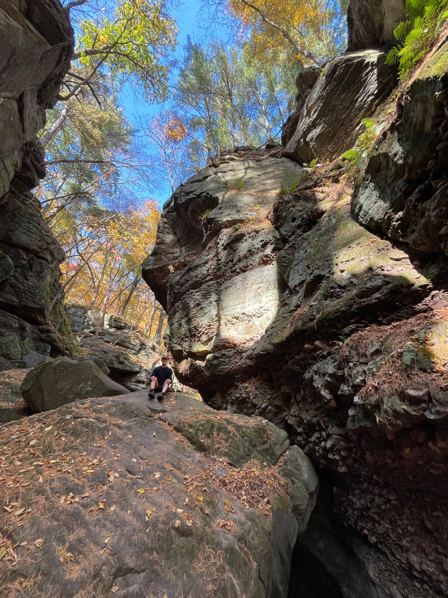 view from the bottom of a ravine/glen with steep walls and big boulders! there are trees with fall colors at the top of the cliffs and a small human perched on top of one big boulder.