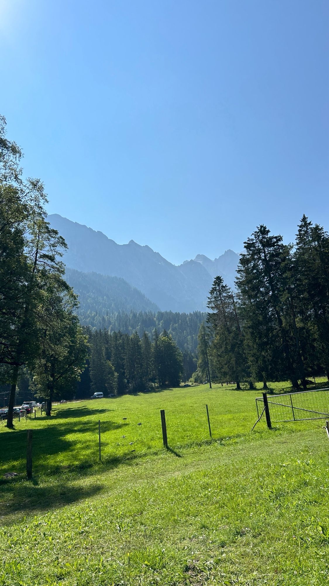 Zugspitze und Wiese