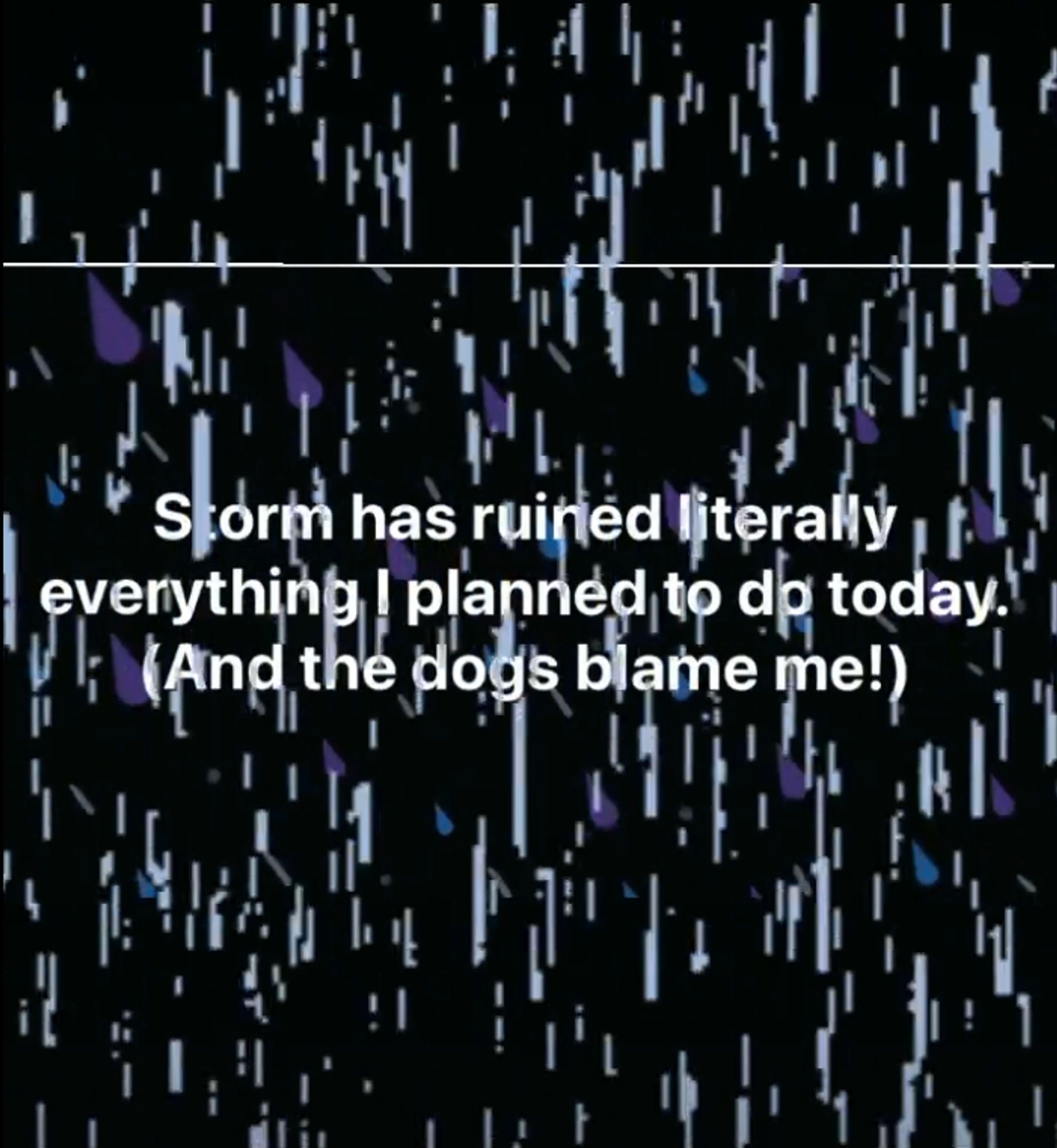 graphic saying "Storm has ruined literally everything I planned to do today. (And the dogs blame me!)"