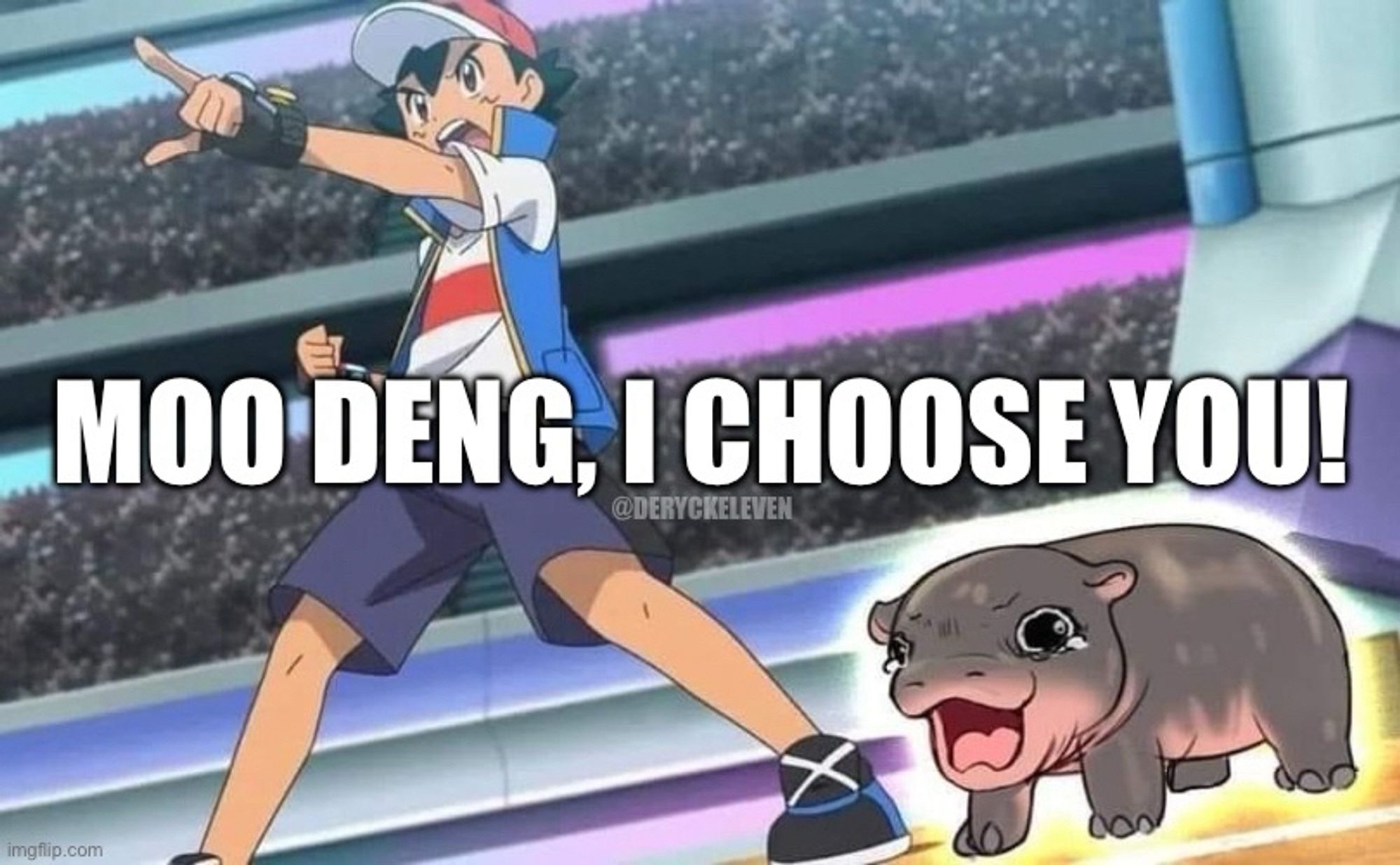 Moo deng, I choose you!
@DERYCKELEVEN