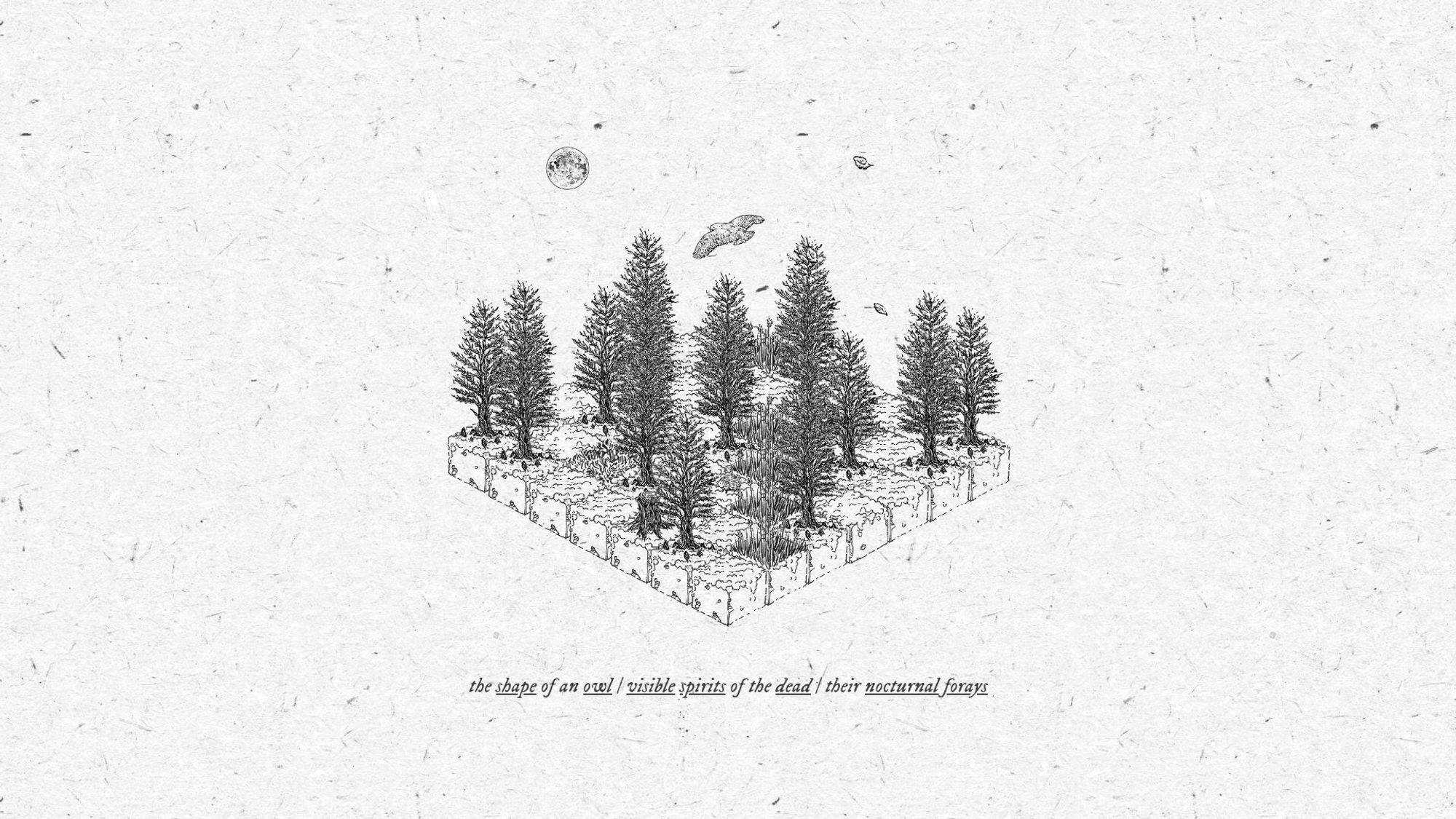 A hand drawn isometric scene of a forest of bare trees. A moon can be seen in the sky above, and a few leaves whisky by in the wind. An owl floats overhead