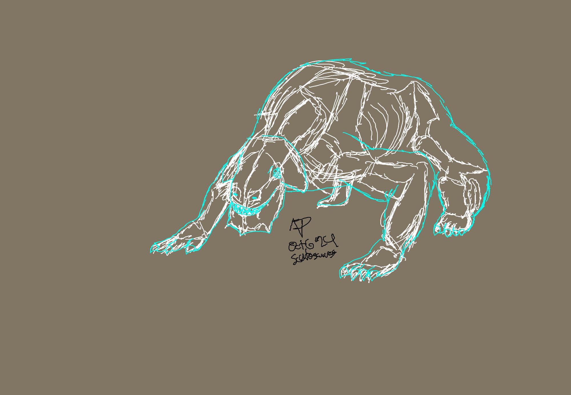 White rough sketch of scutosaurus skeleton under teal rough sketch of in-life outline of the same animal. The background is brown.