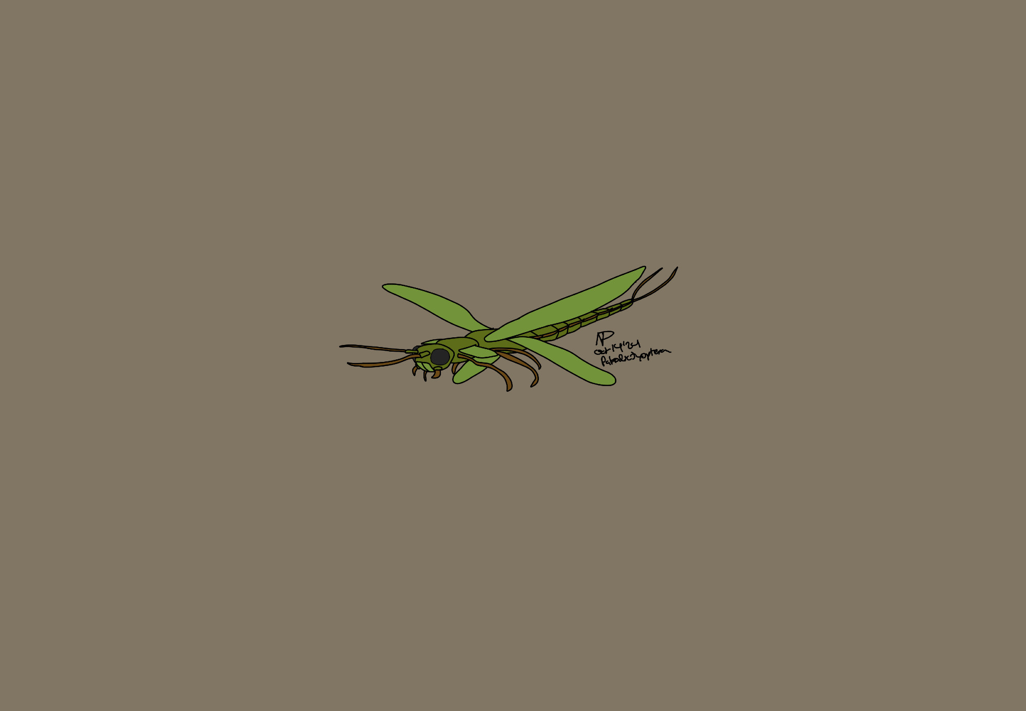 Green paleodictyoptera with light green wings, and brown legs and antennae on a brown background.