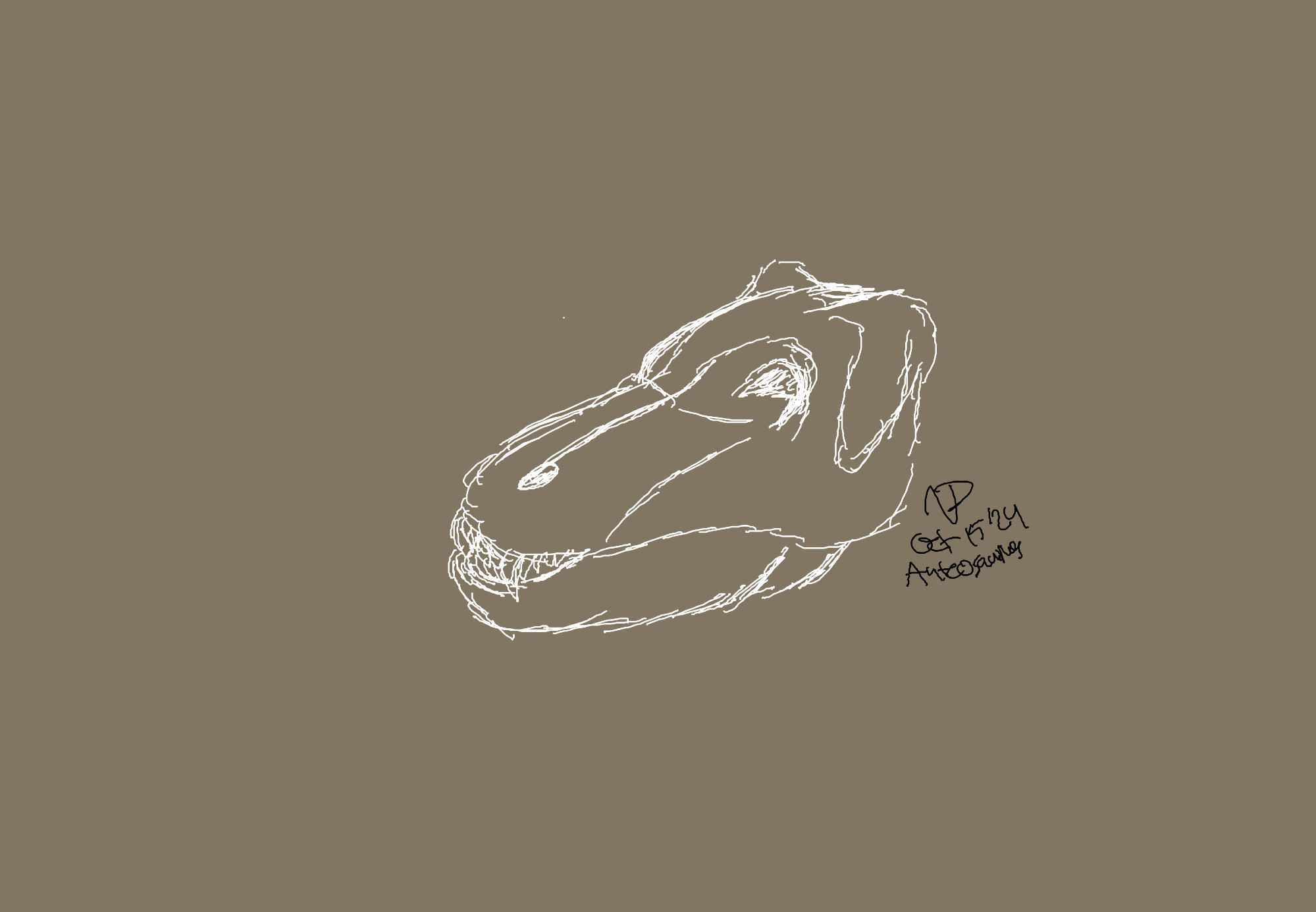 White rough sketch of an anteosaurus skull on a brown background.