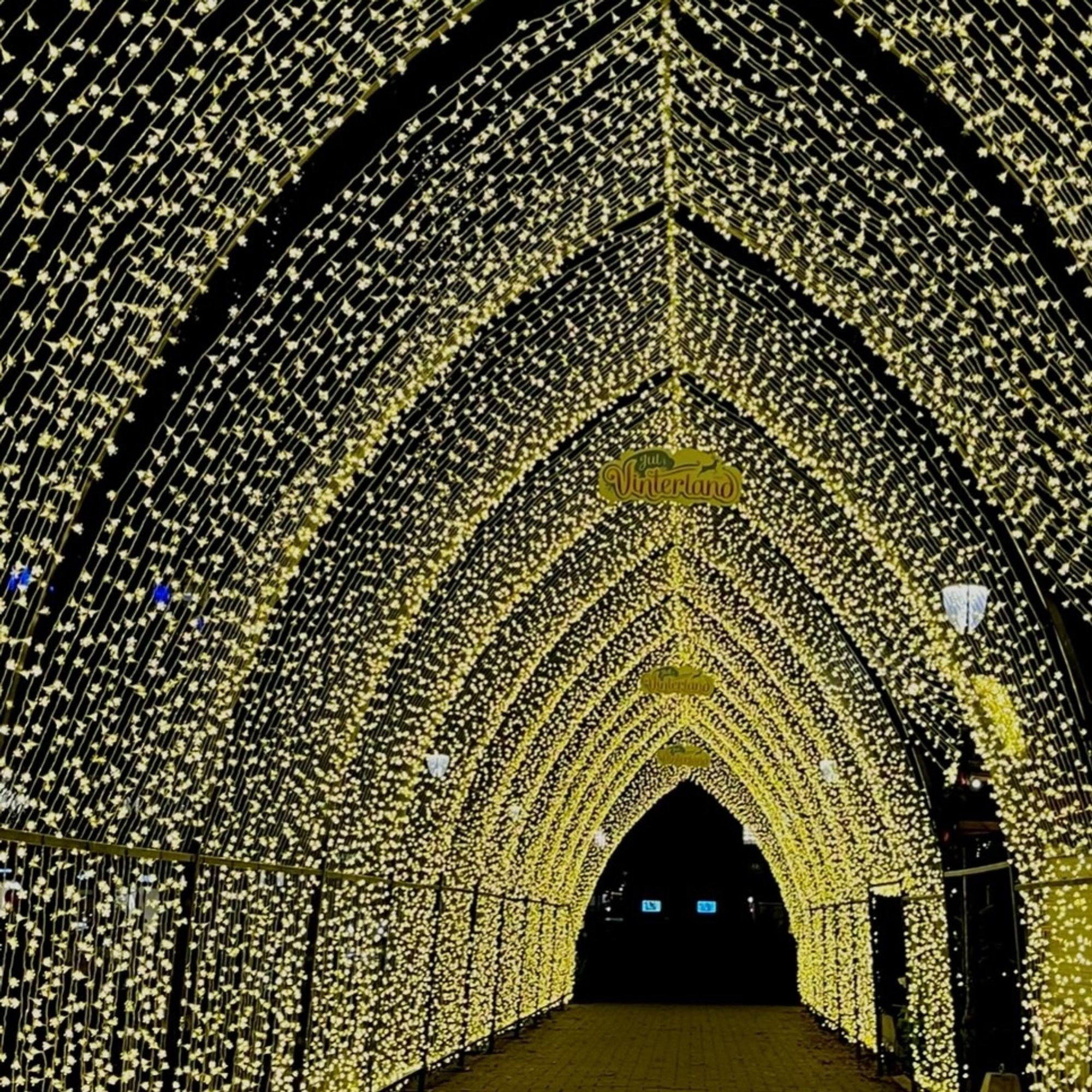 Tunnel van metalen bogen met duizenden kerst lichtjes over wandelpad