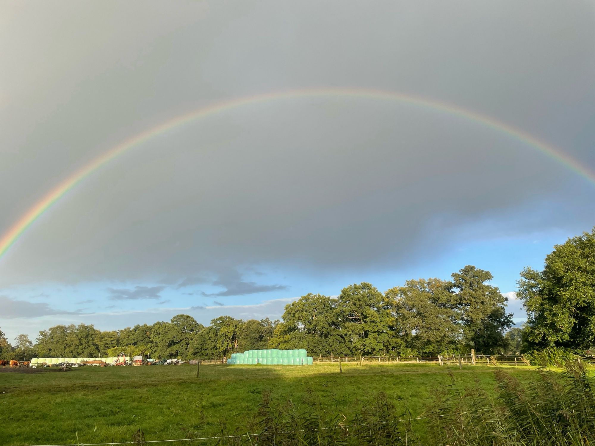 Regenbogen über grüner Wiese