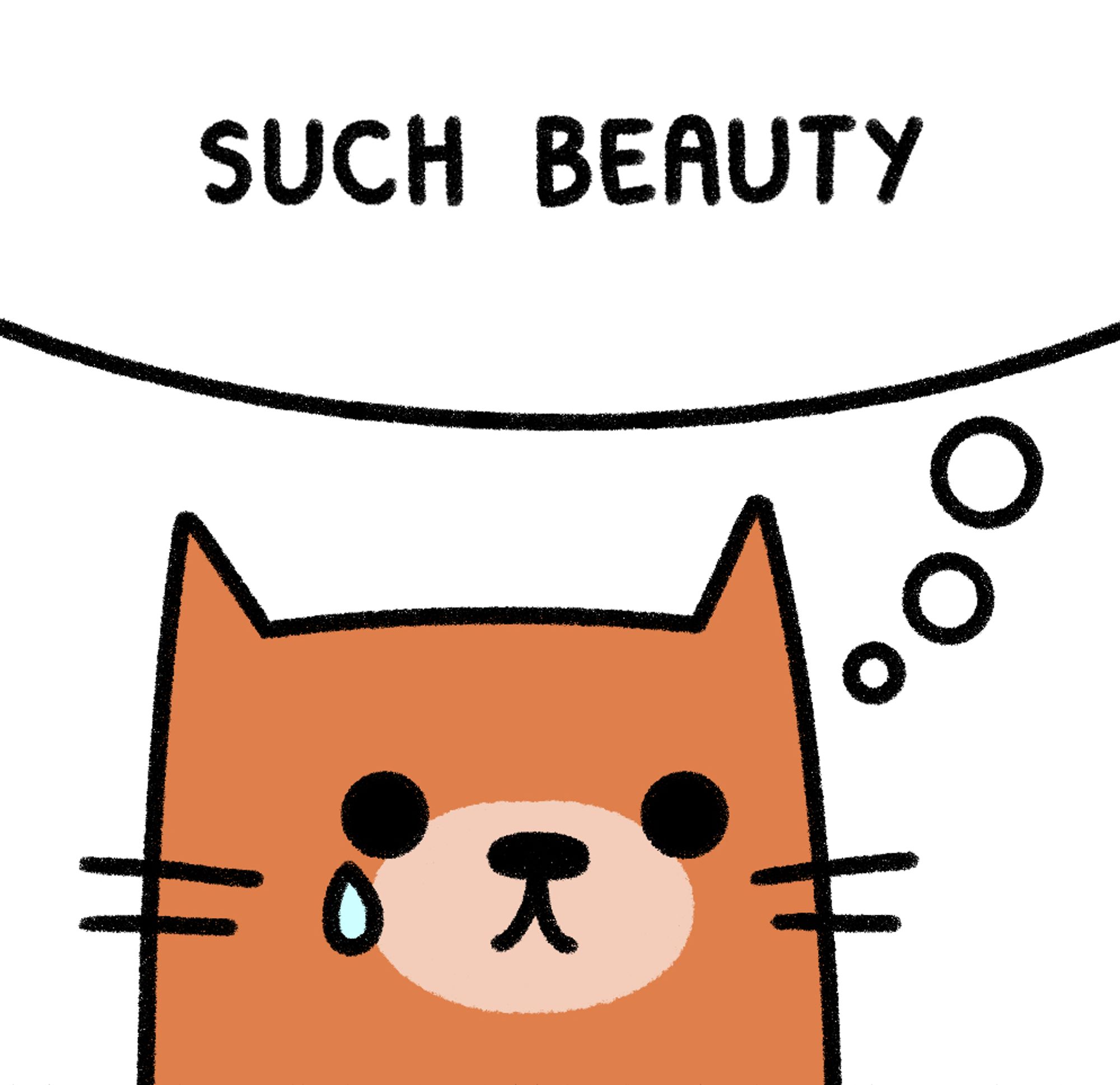 Cartoon cat thinking to itself, “Such beauty”