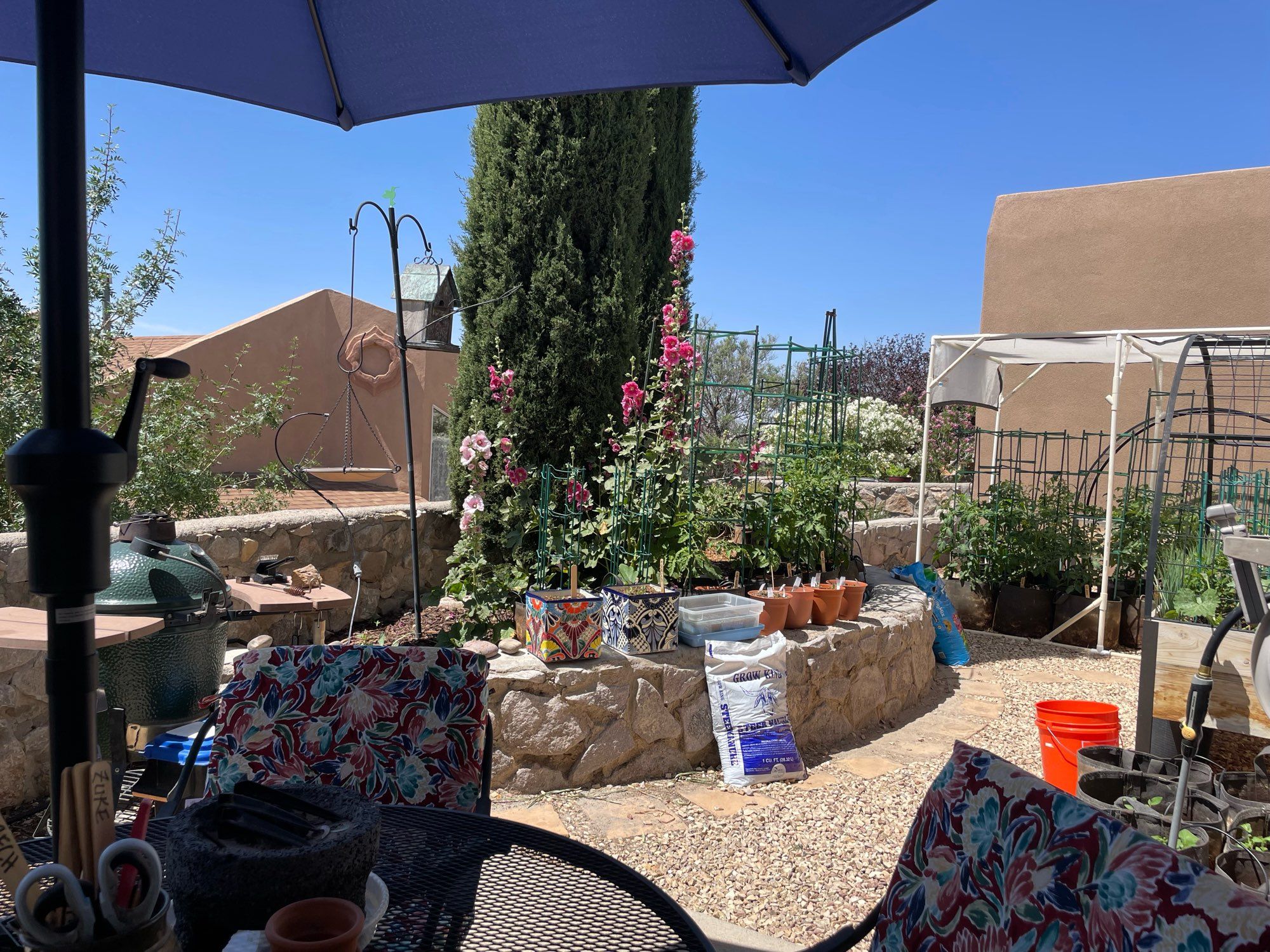 Scene of a backyard in sunny southern New Mexico, with vegetable and flower garden.