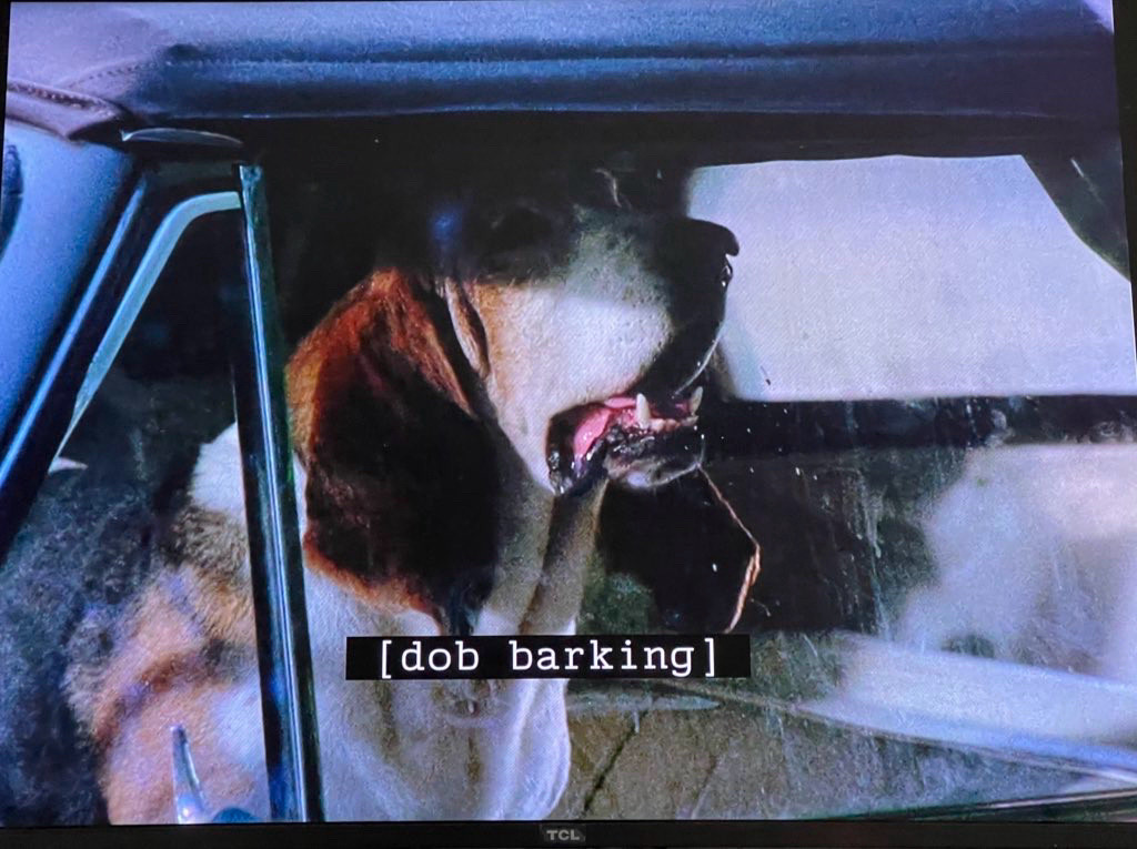 photo of a tv displaying columbo. the dog is barking from inside a car. the caption says dob barking