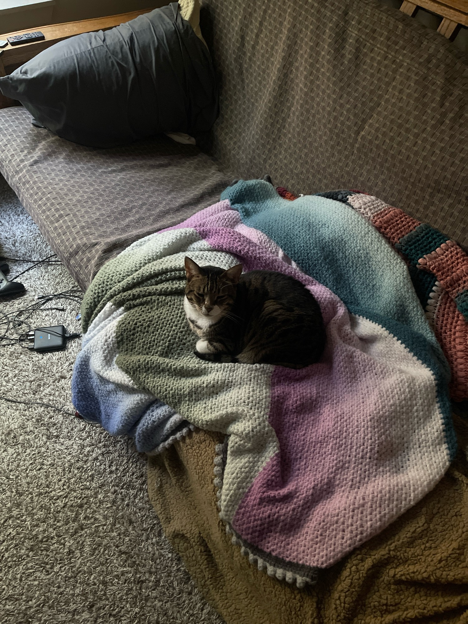 little brown tabby on a blanket on a futon