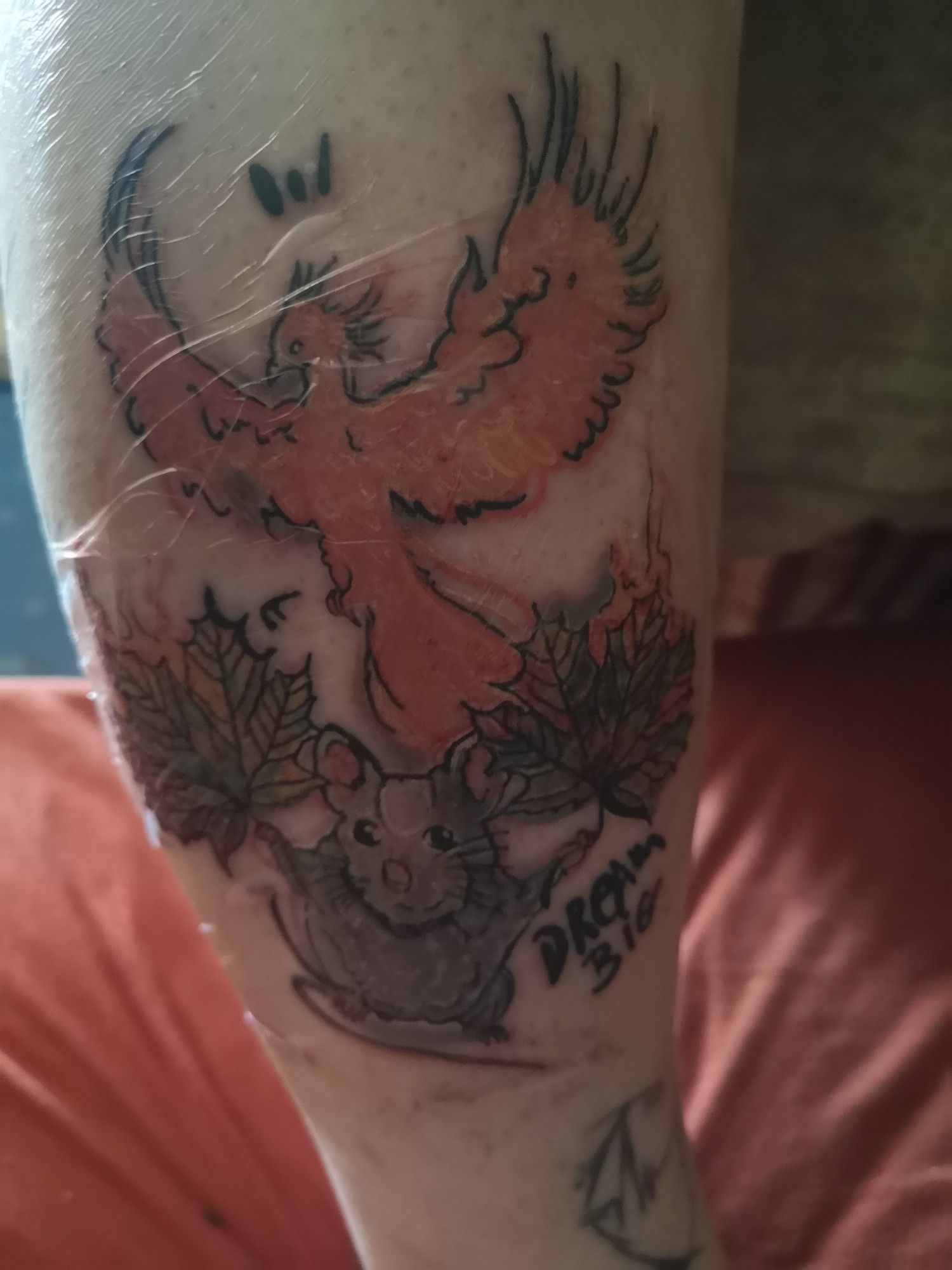 Zu sehen ist mein rechtes Bein mit einem neuen Tattoo. Das Tattoo besteht aus einem Phönix und einer Maus die zwei Blätter hält, daneben steht Dream Big