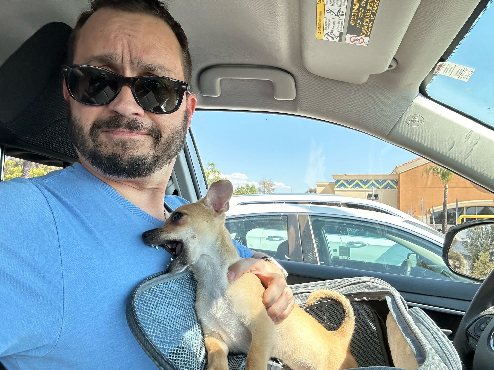 The ferocious beast being entertained while waiting in the Target lot.