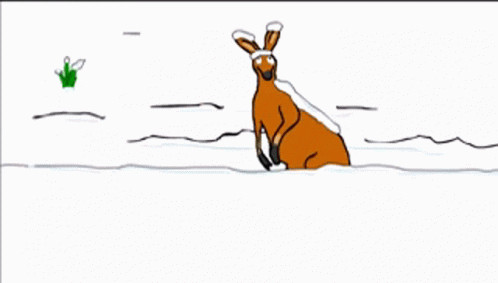 A kangaroo in the snow saying WTF