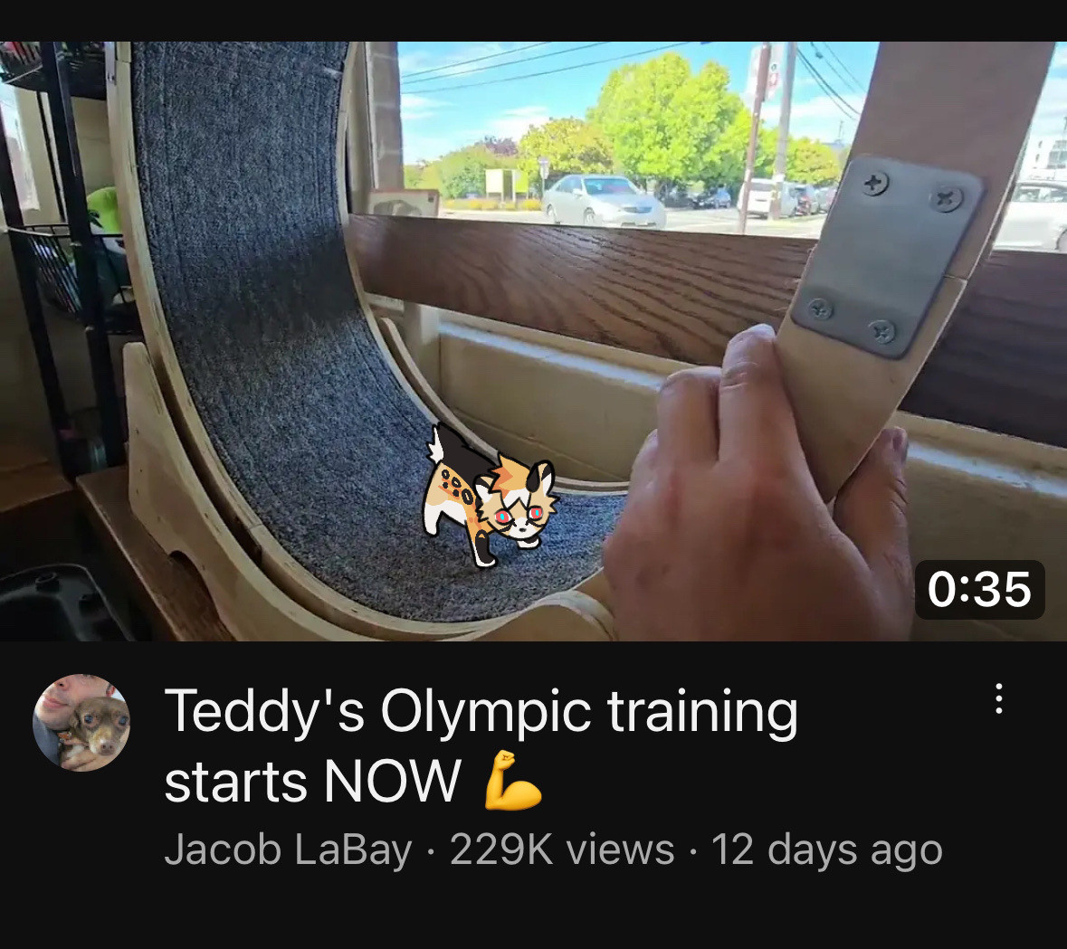 a screenshot of a YouTube video titled ‘teddys Olympic training starts NOW” the thumbnail is a very tiny kitten on a large exercise wheel for cats. the artist has drawn their fursona on top of the kitten 