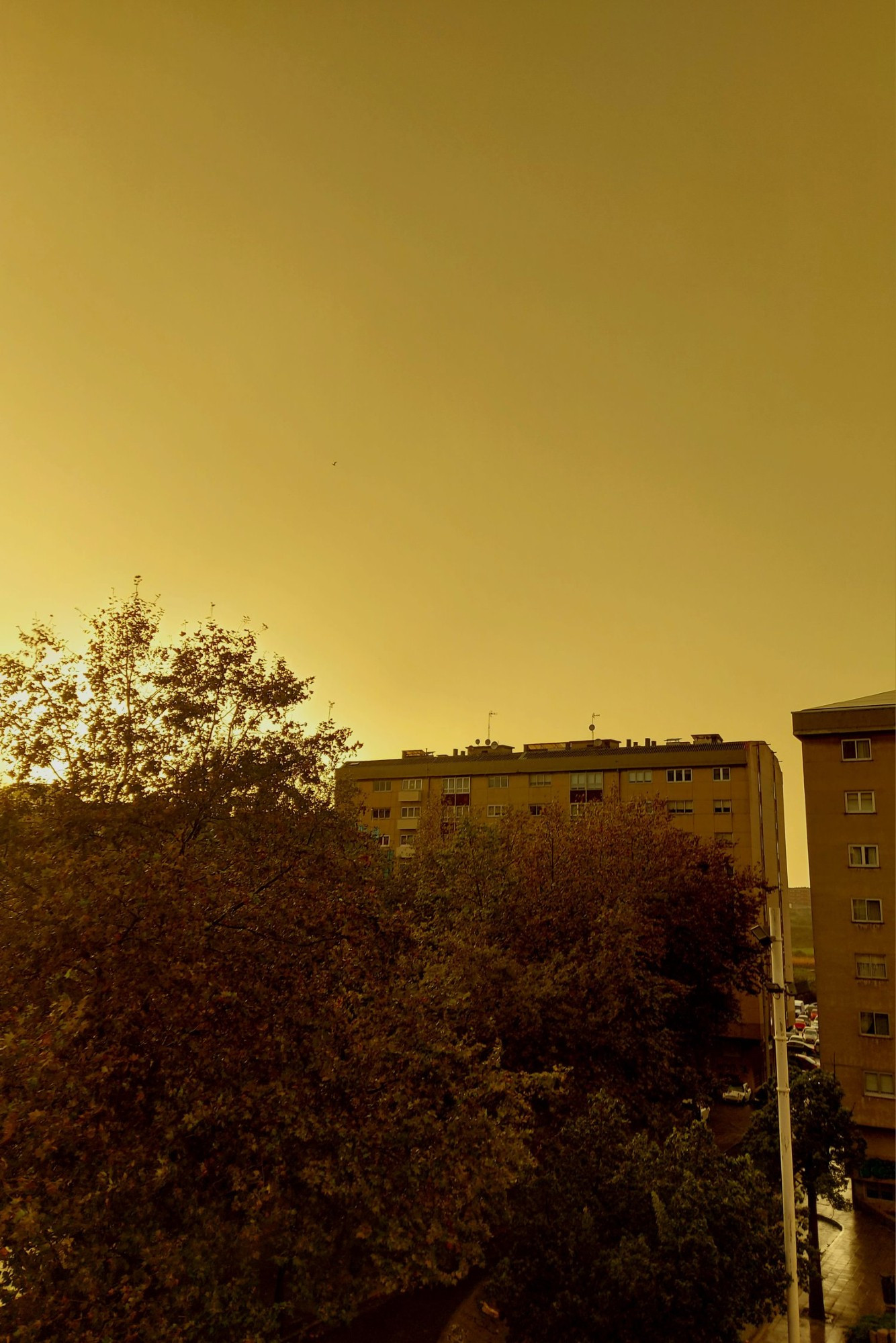 En los mapas del cielo el sol siempre es amarillo
y la lluvia o las nubes no pueden velar tanto brillo.