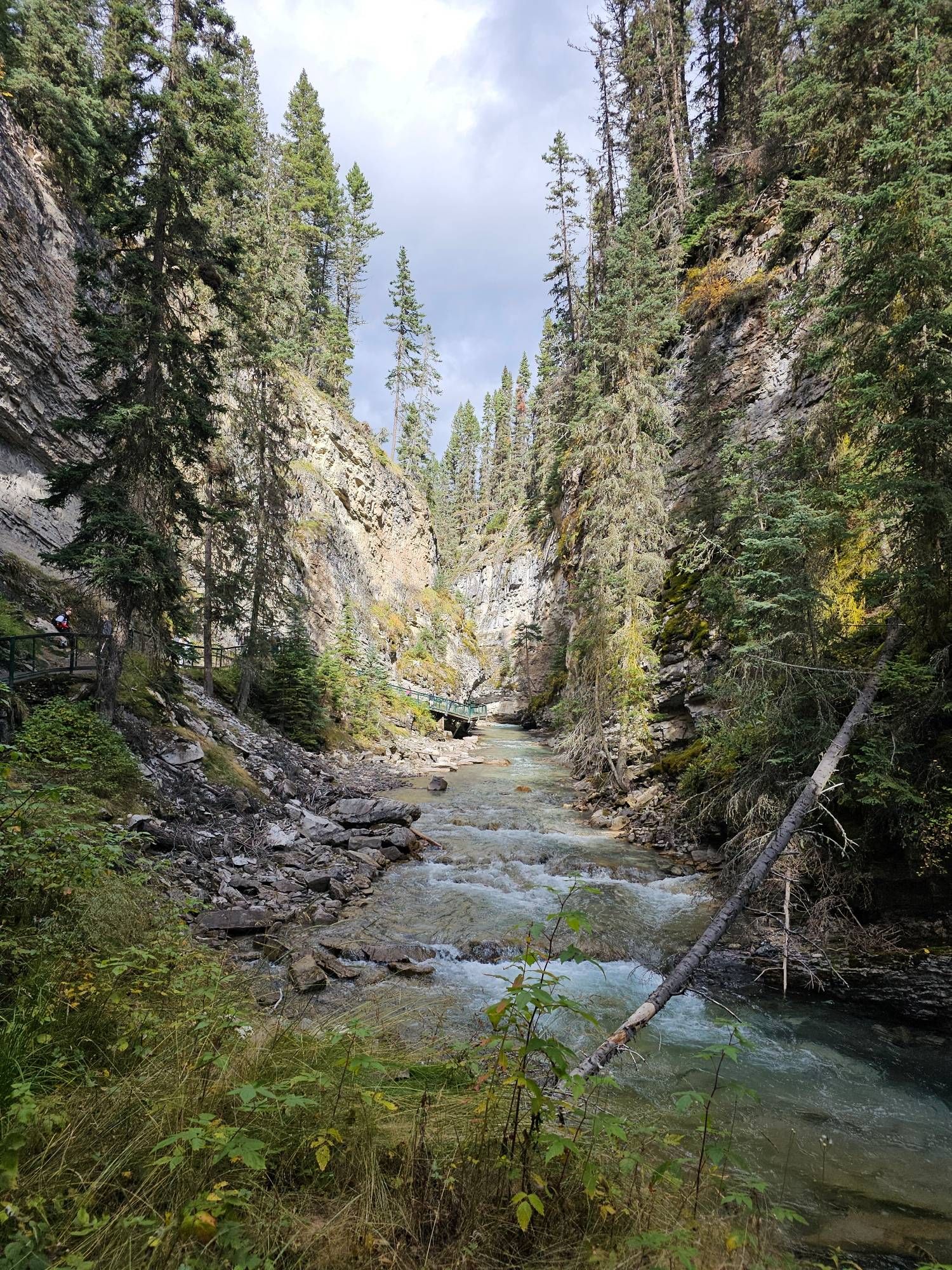 A light blue stream running through a canyon. There  are rocks and tall trees on either side.