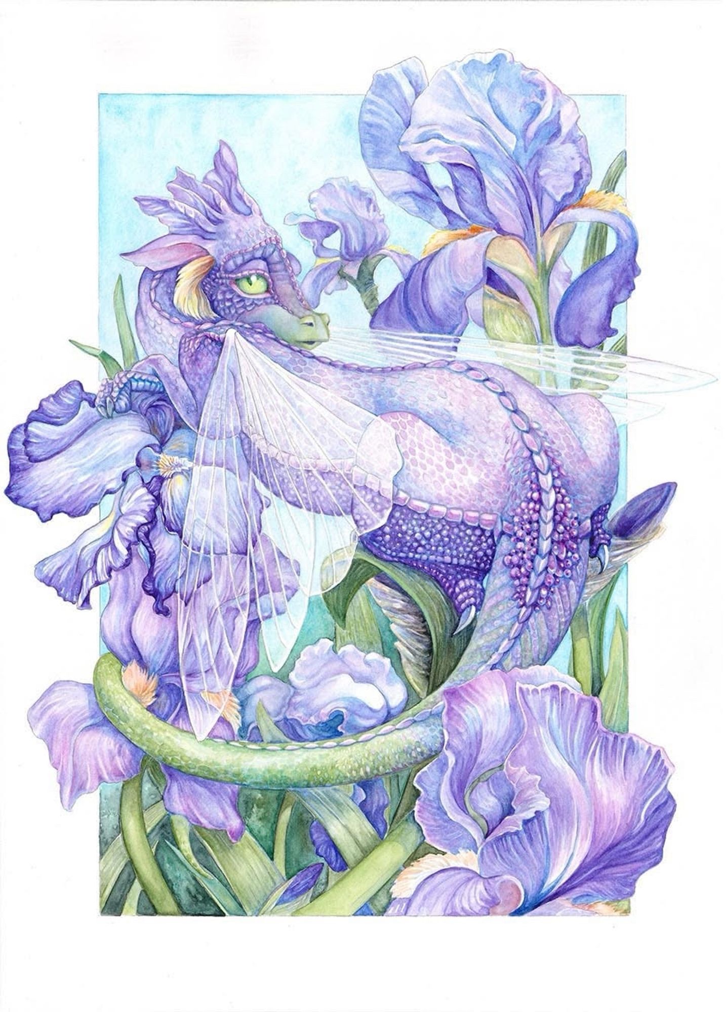 A detailed watercolor painting of a purple dragon in a bed of bearded iris flowers by Susan Shorter