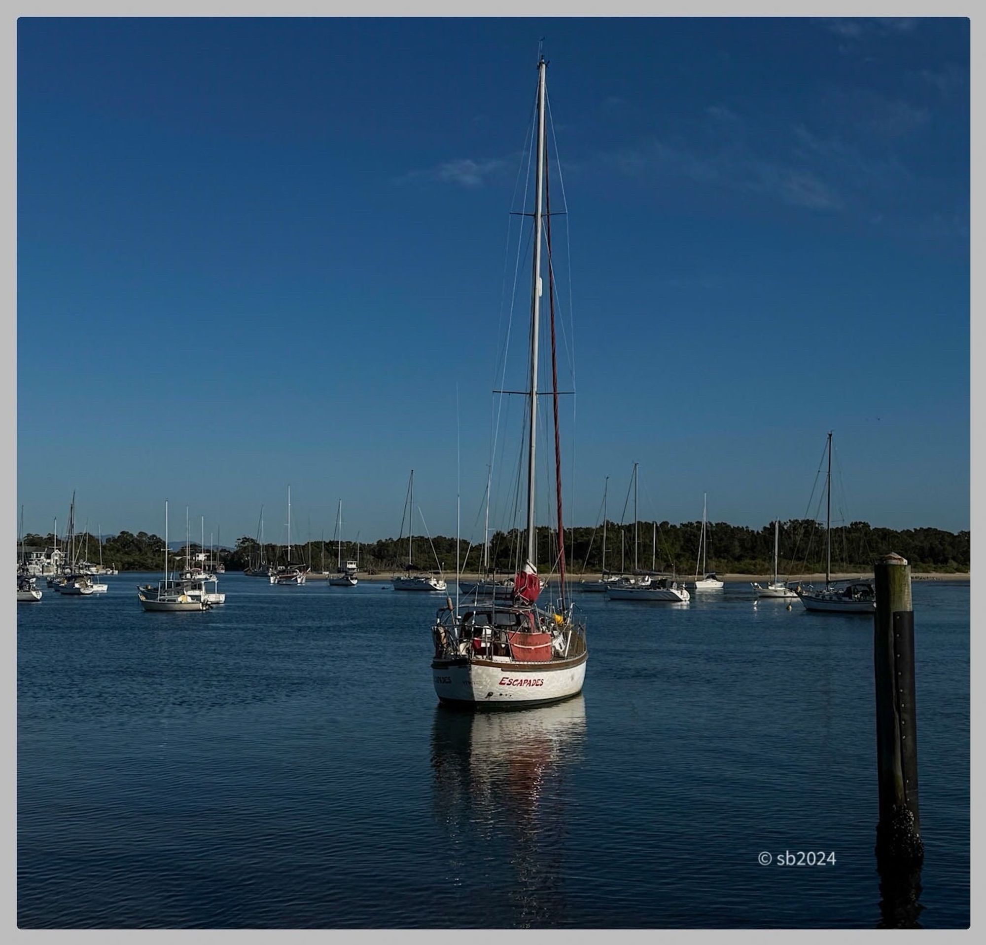 Sailboats moored on a river in the morning light. A line of trees can be seen in the mid-ground. Clear blue sky above.