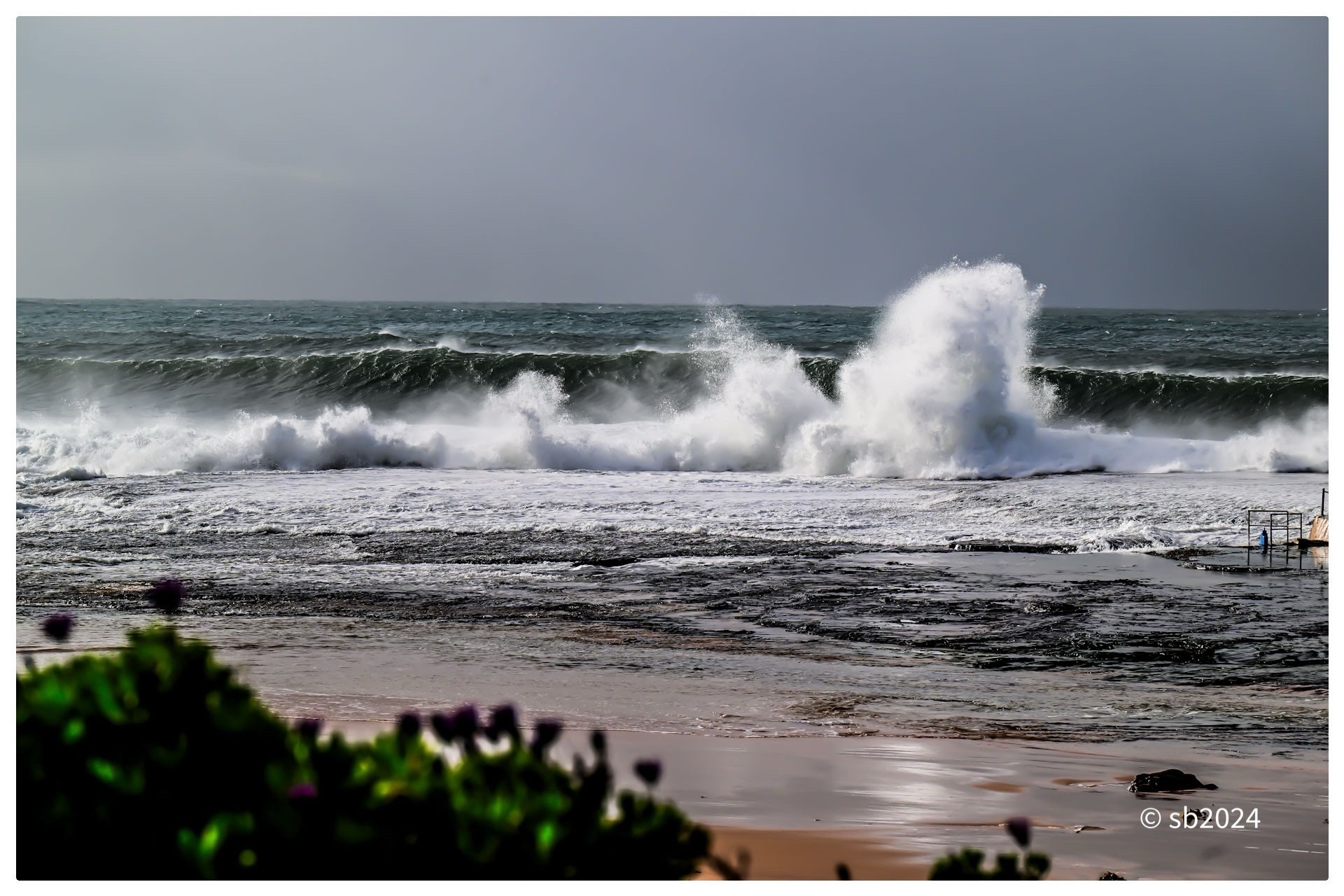 In the foreground is a line of flowering shrubs. In the middle of the image, huge waves roll to shore crashing on the sand causing an enormous amount of sea spray. The sky is covered in cloud. 