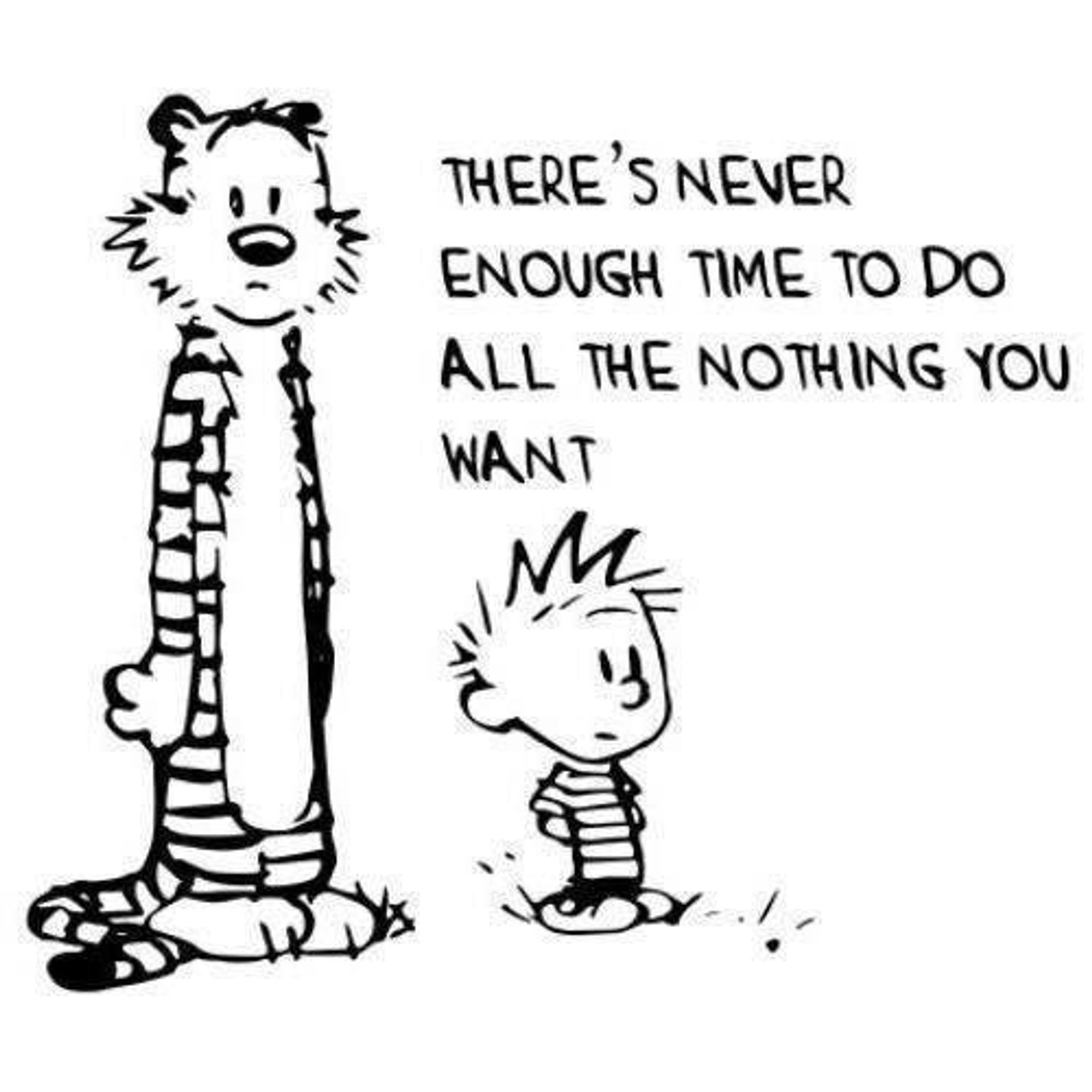 Calvin and Hobbes - There's never enough time to do all the nothing you want