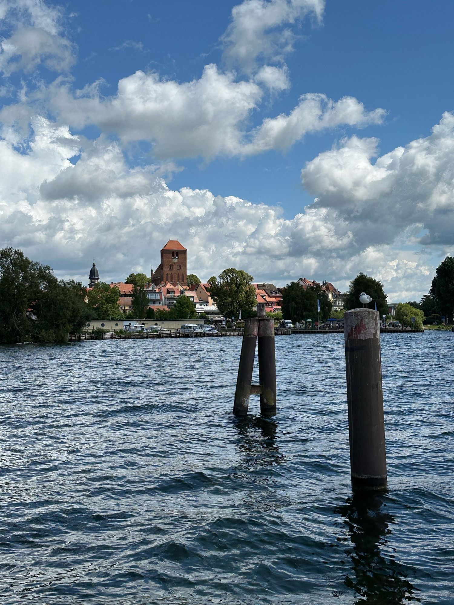 Zwei aufrecht stehende Bohlen im Wasser worauf jeweils eine Möwe sitzt.
Drmazusch bewölkter Himmel