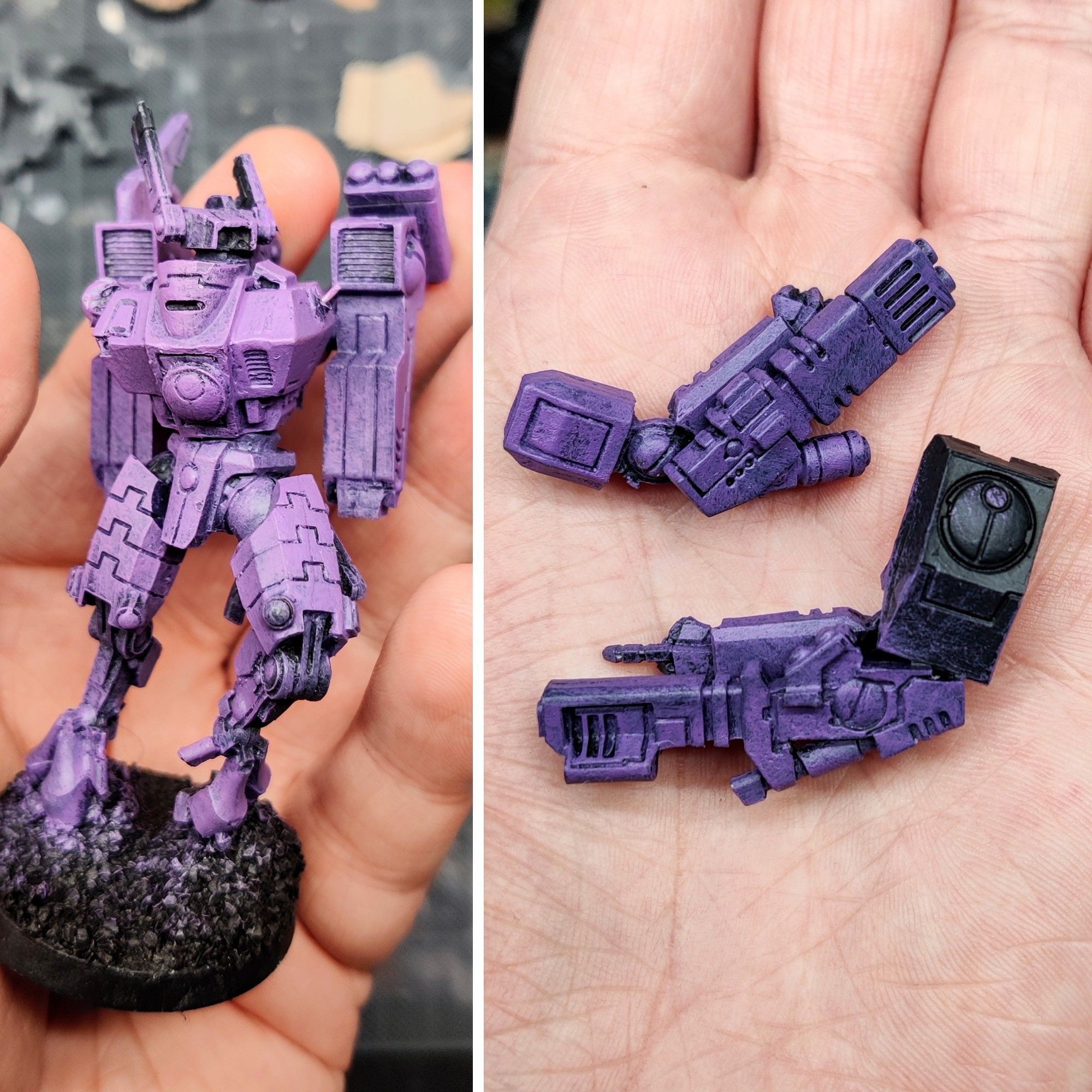 A XV8 Commander with a Purple based coat