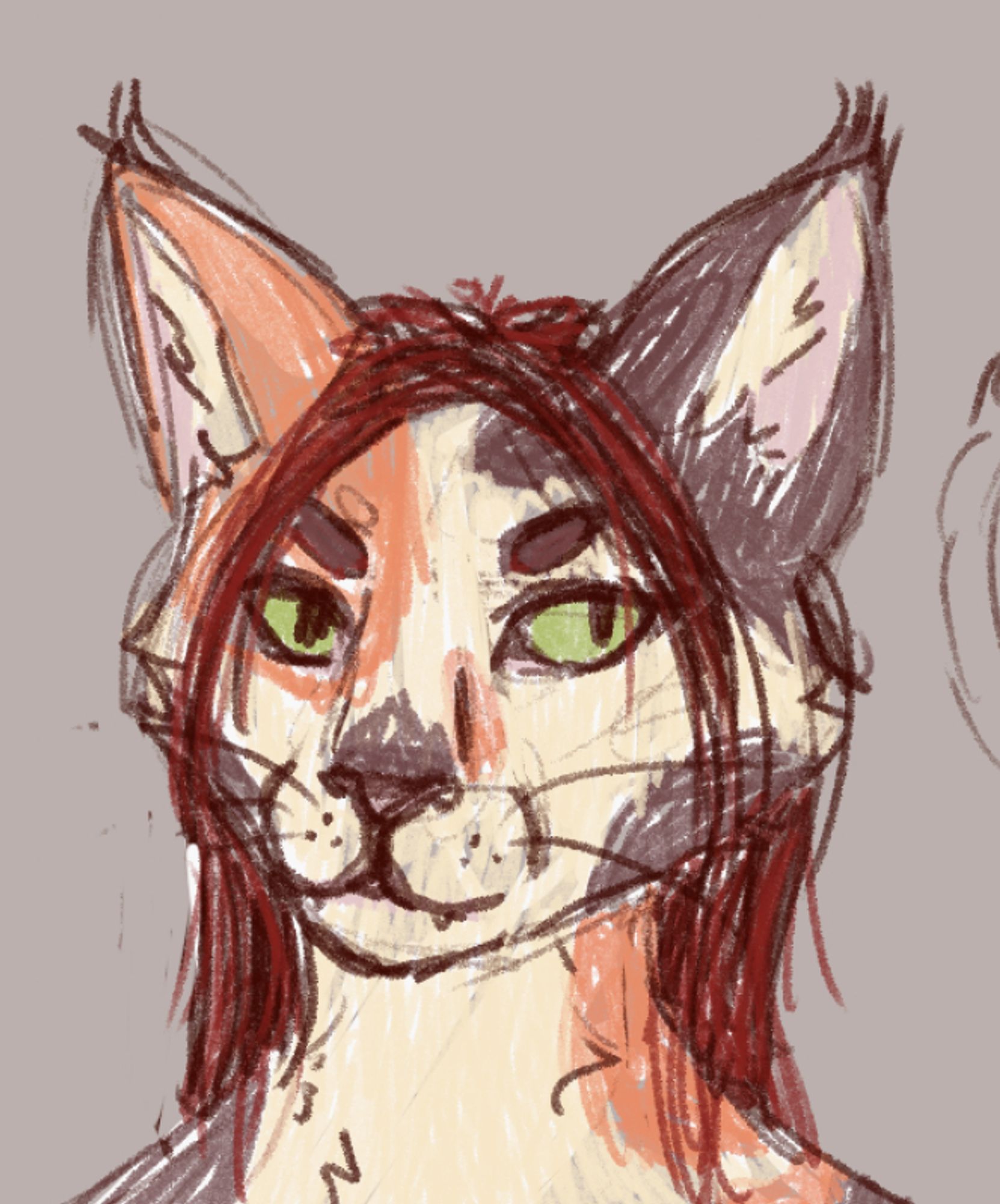 a digital sketch of a calico cat fursona. she has orange and brown markings on cream fur, green eyes, and red hair.